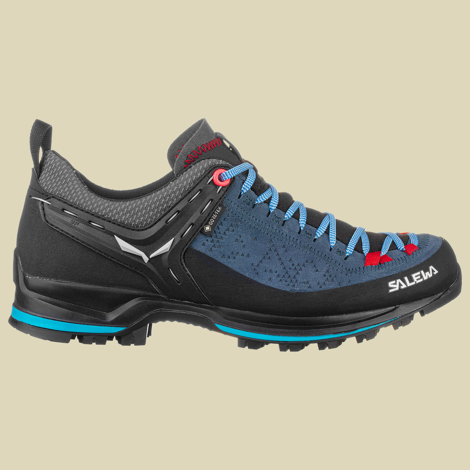 WS MTN Trainer 2 GTX Women