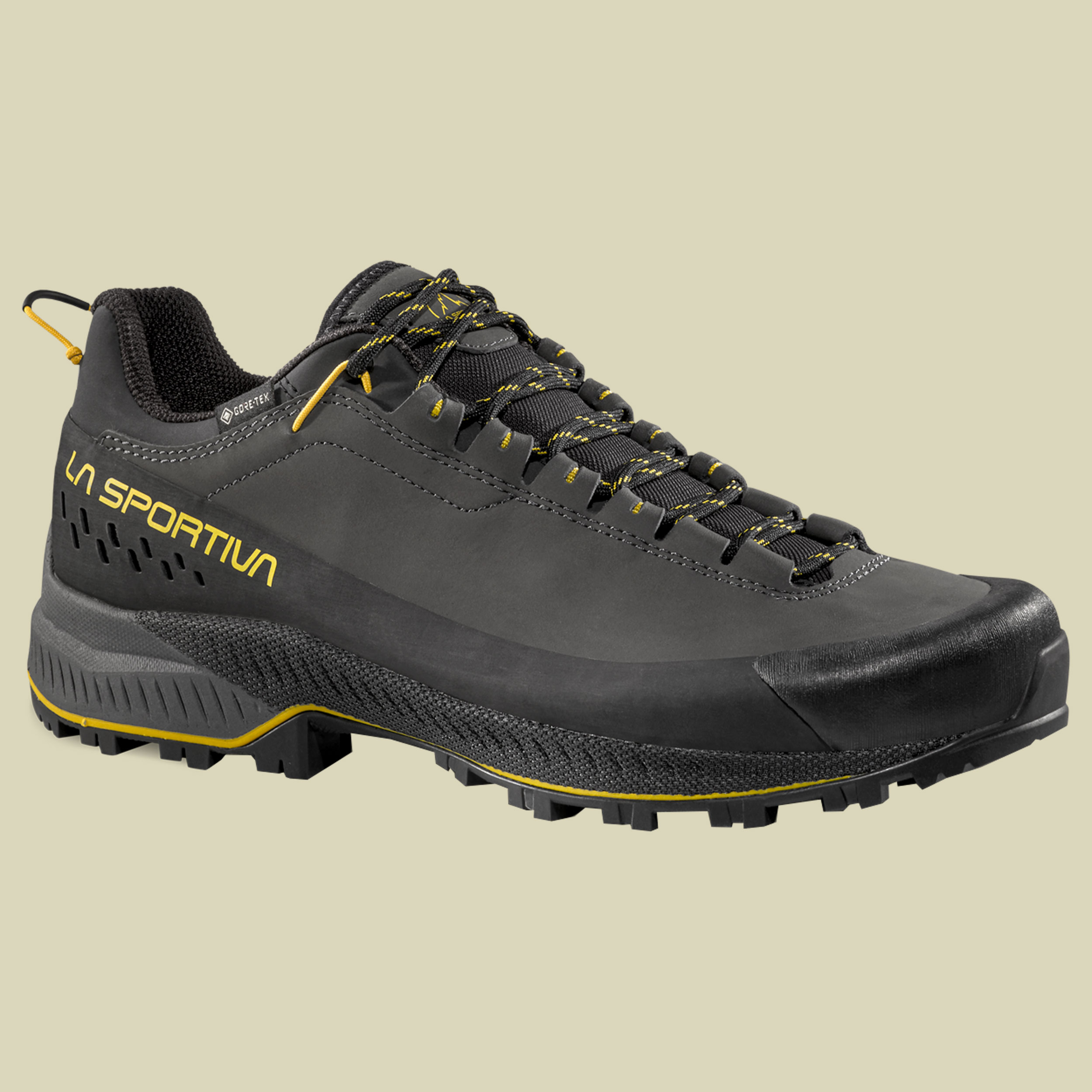 TX5 EVO GTX Men 47 schwarz - carbon/yellow