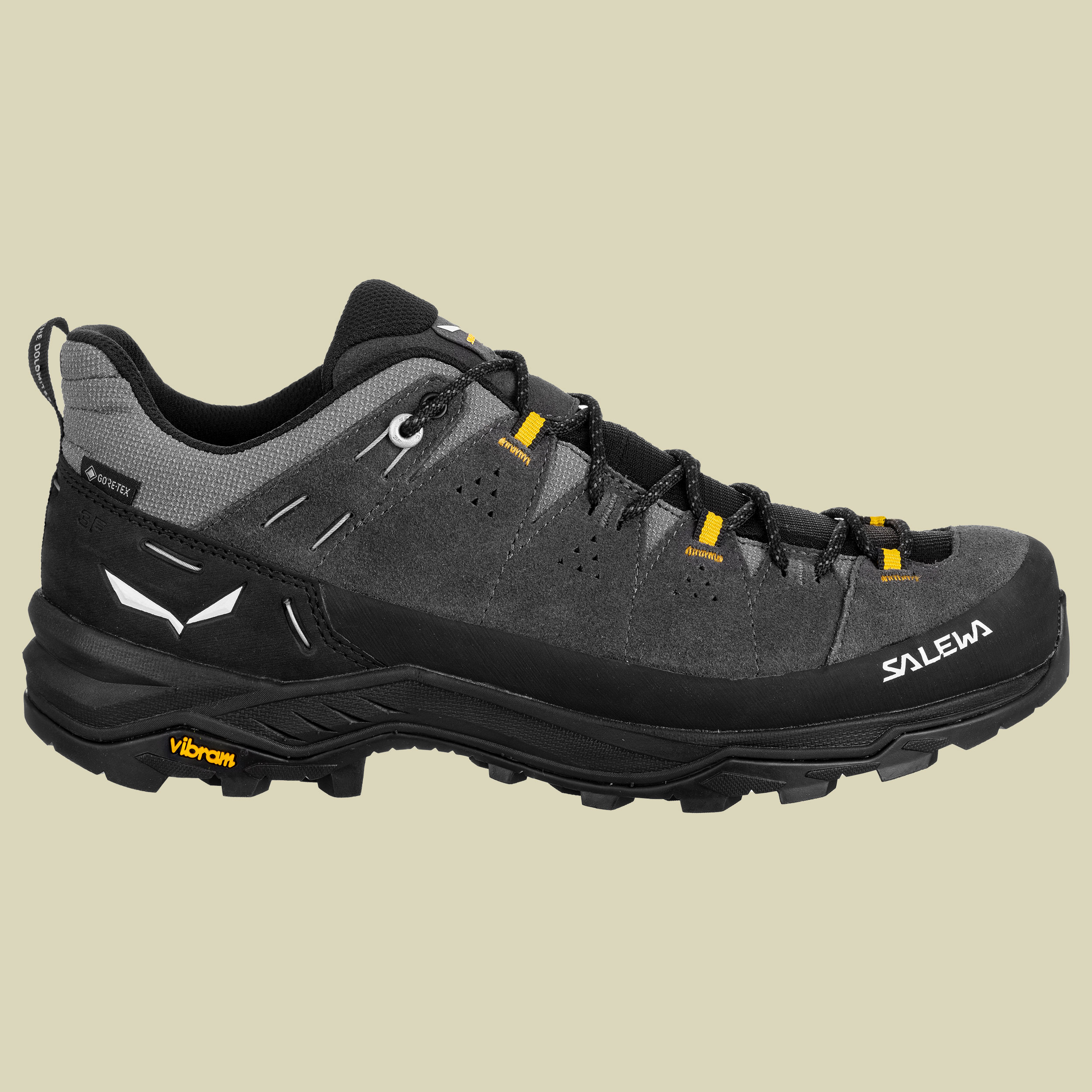 Alp Trainer 2 GTX Men Größe UK 10,5 Farbe onyx/black