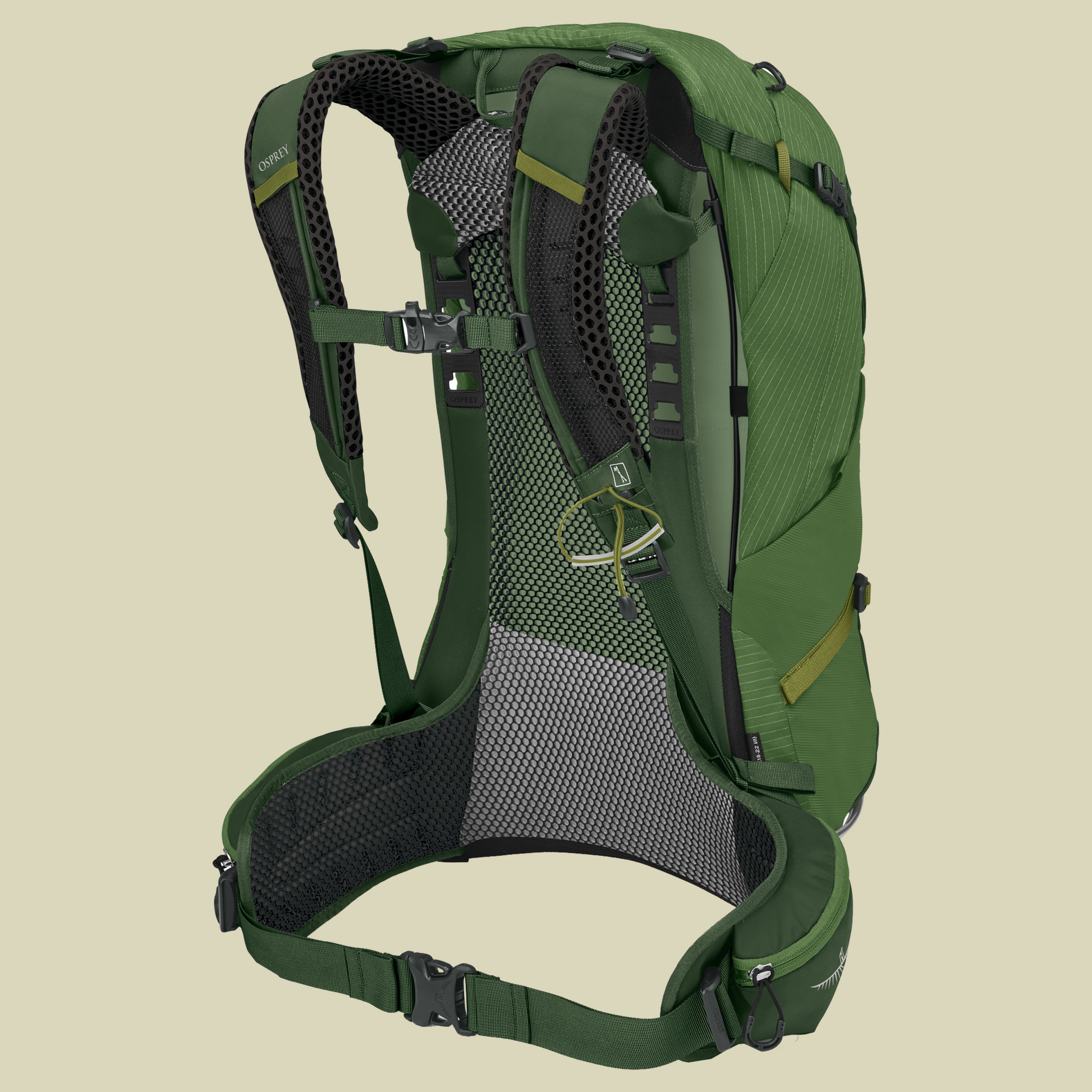 Stratos 24 Men grün 24  - Farbe seaweed-matcha green