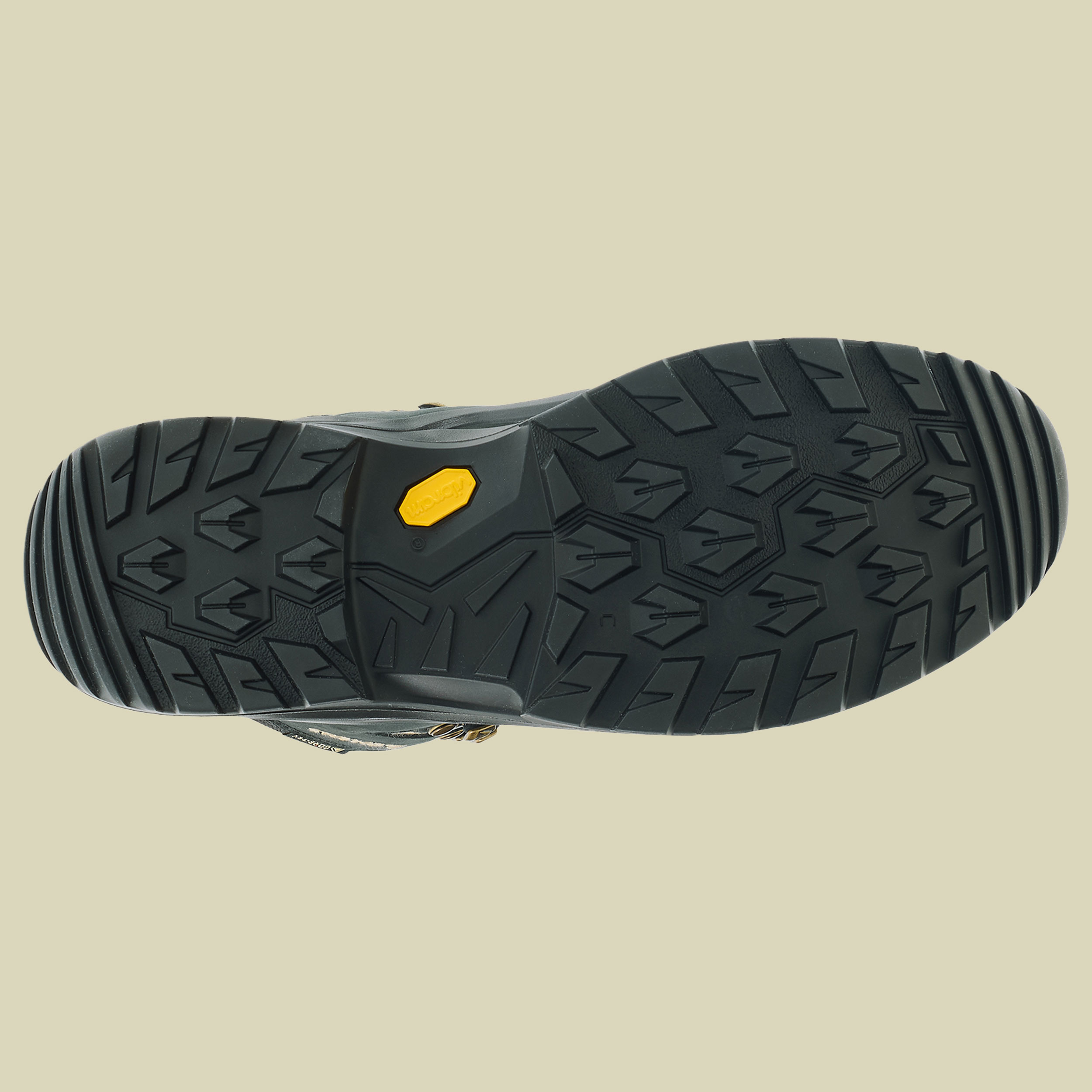 Renegade EVO GTX Mid Women schwarz/champagner UK 8
