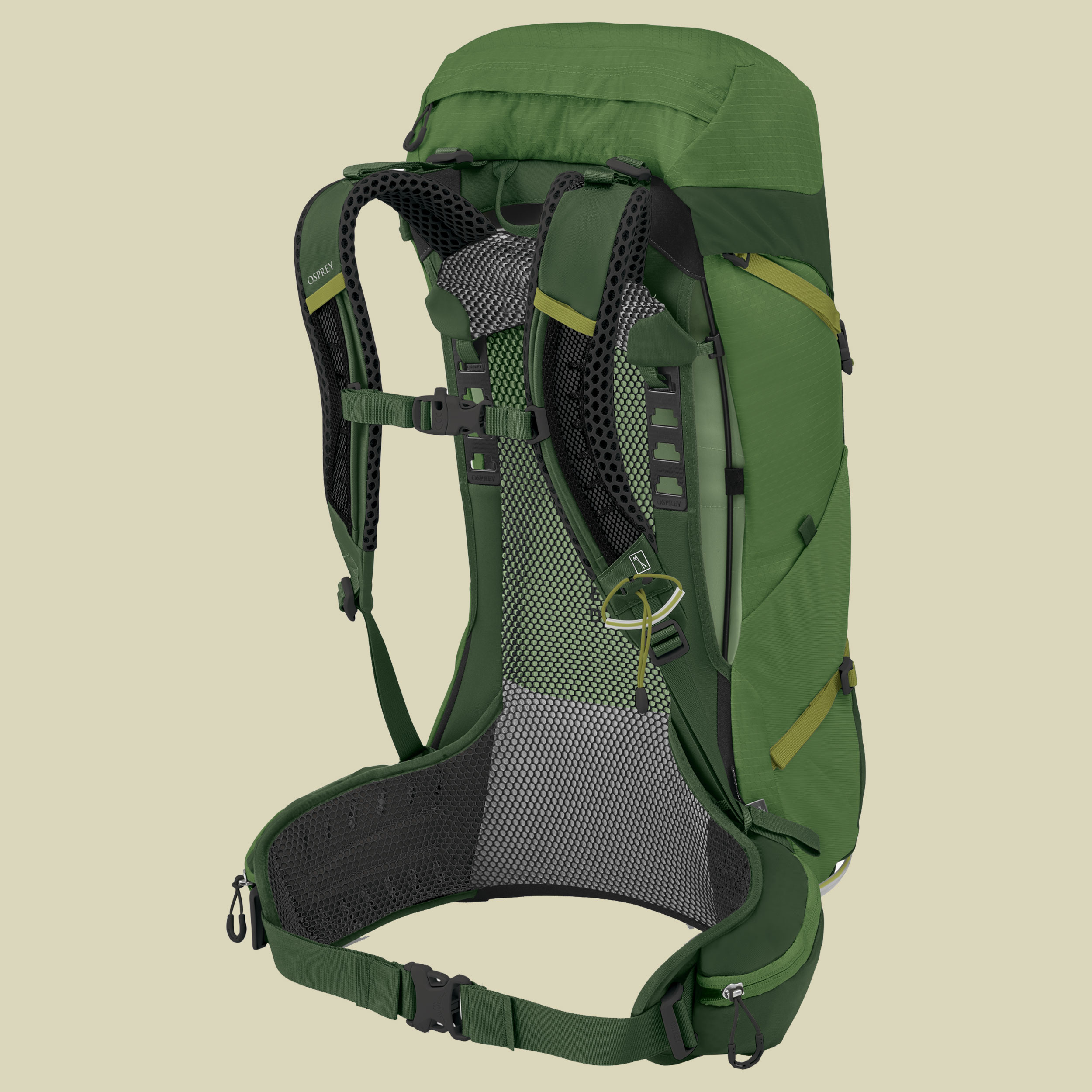 Stratos 26 Men grün 26 - Farbe seaweed-matcha green