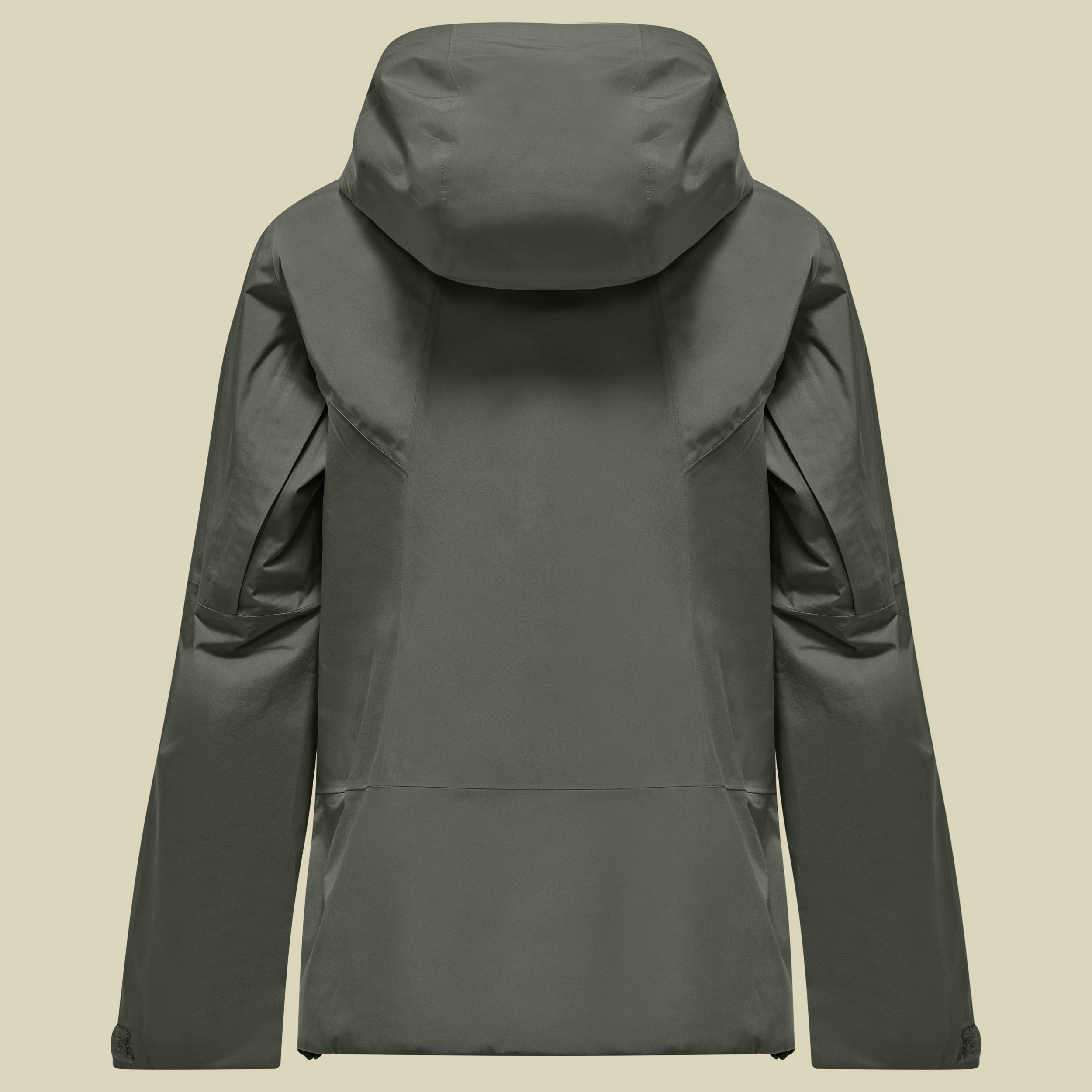 Puez GTX 2L EPE Jacket Women 36 grün - faded green