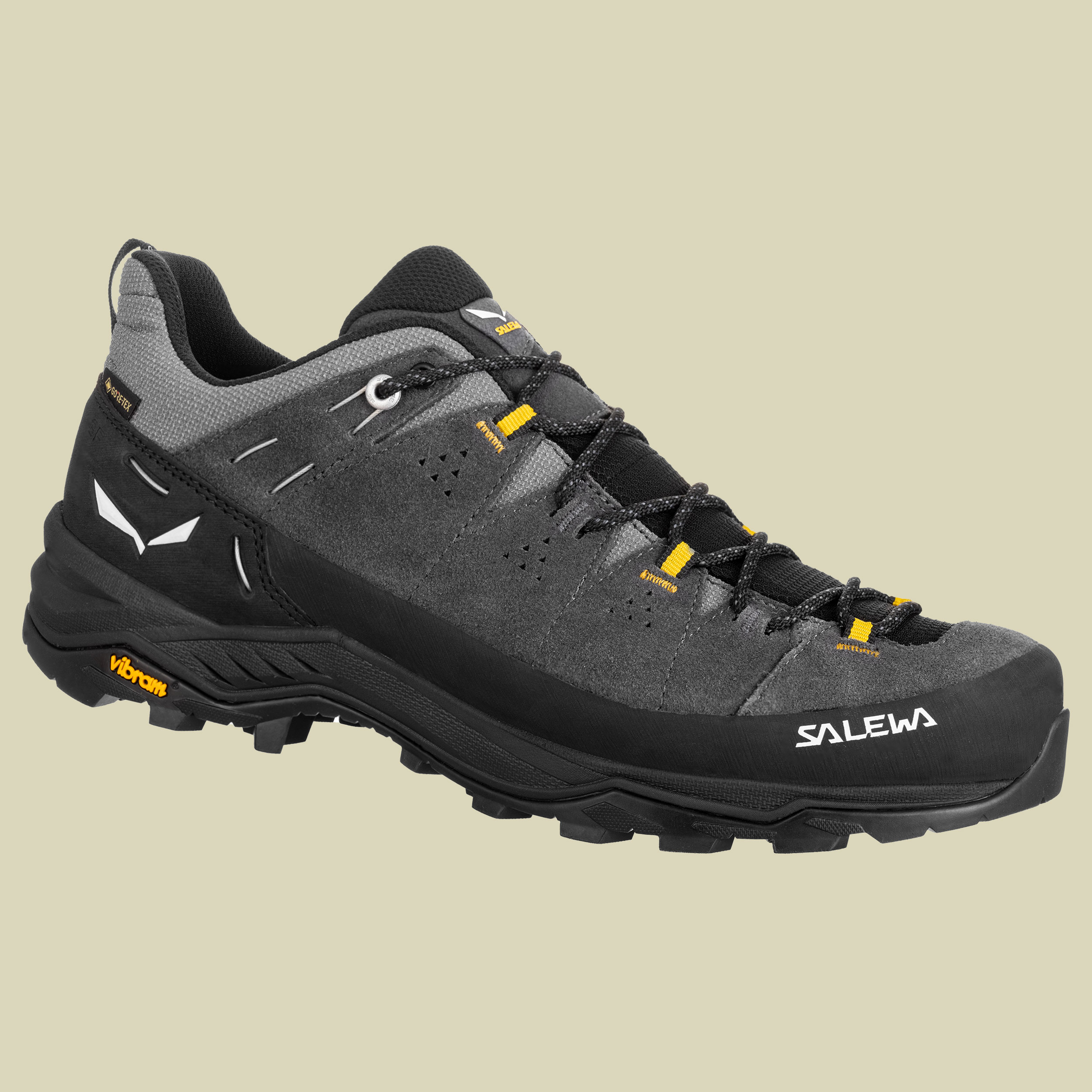 Alp Trainer 2 GTX Men Größe UK 11,5 Farbe onyx/black