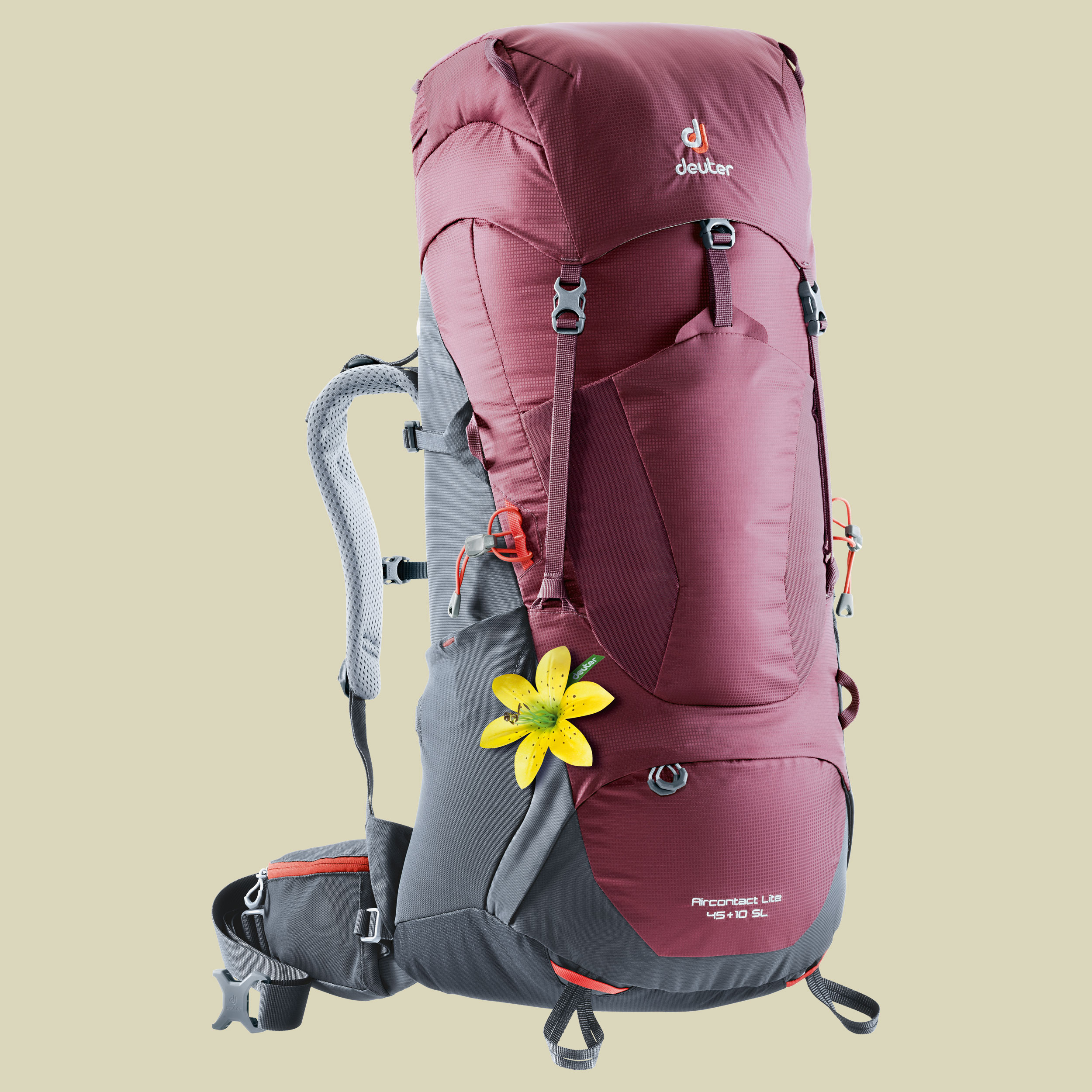 Aircontact Lite 45 + 10 SL Women Volumen 45 L + 10 L Farbe maron-graphite