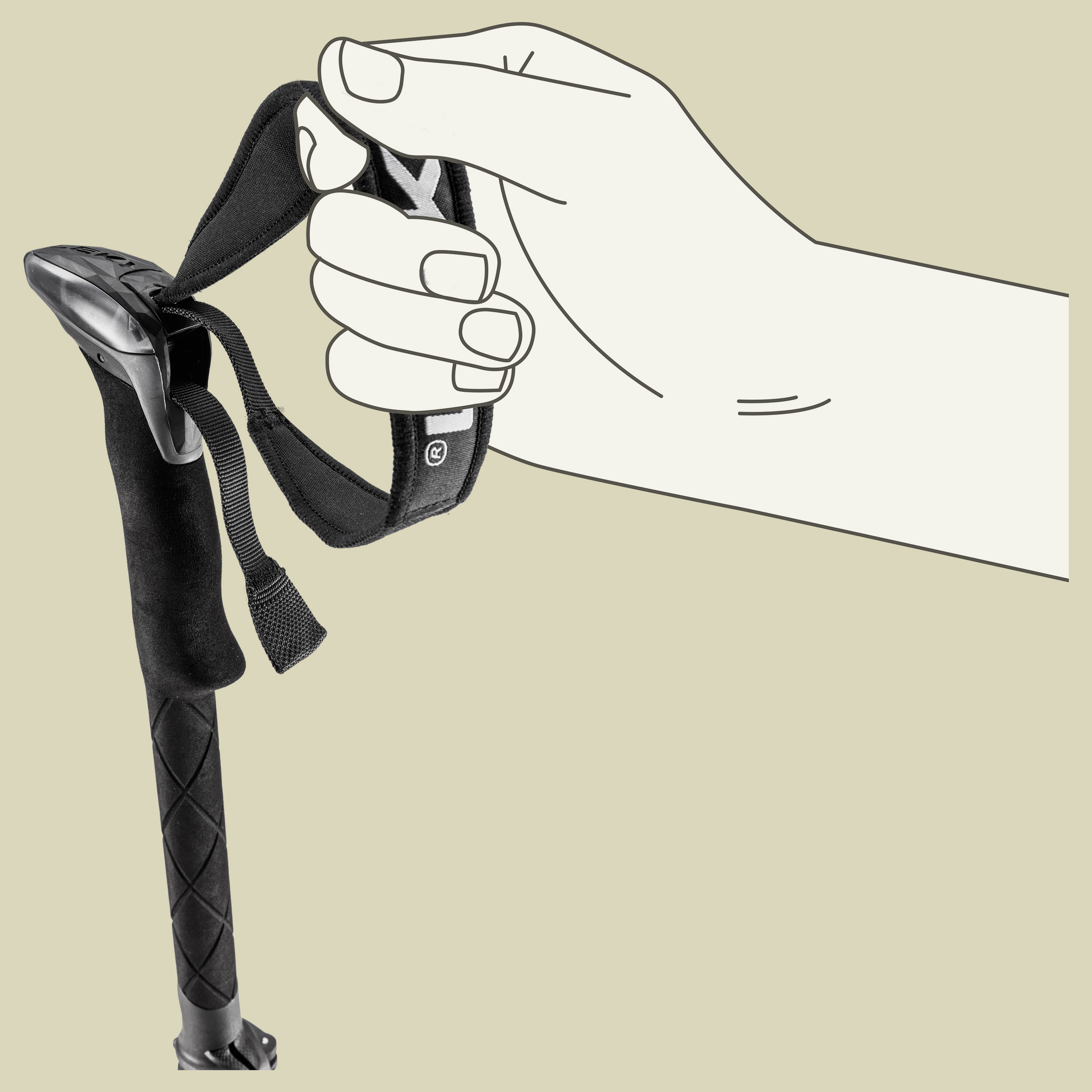 Sherpa FX Carbon Strong Länge 120 - 140 cm Farbe black-naturalcarbon-light anthracite