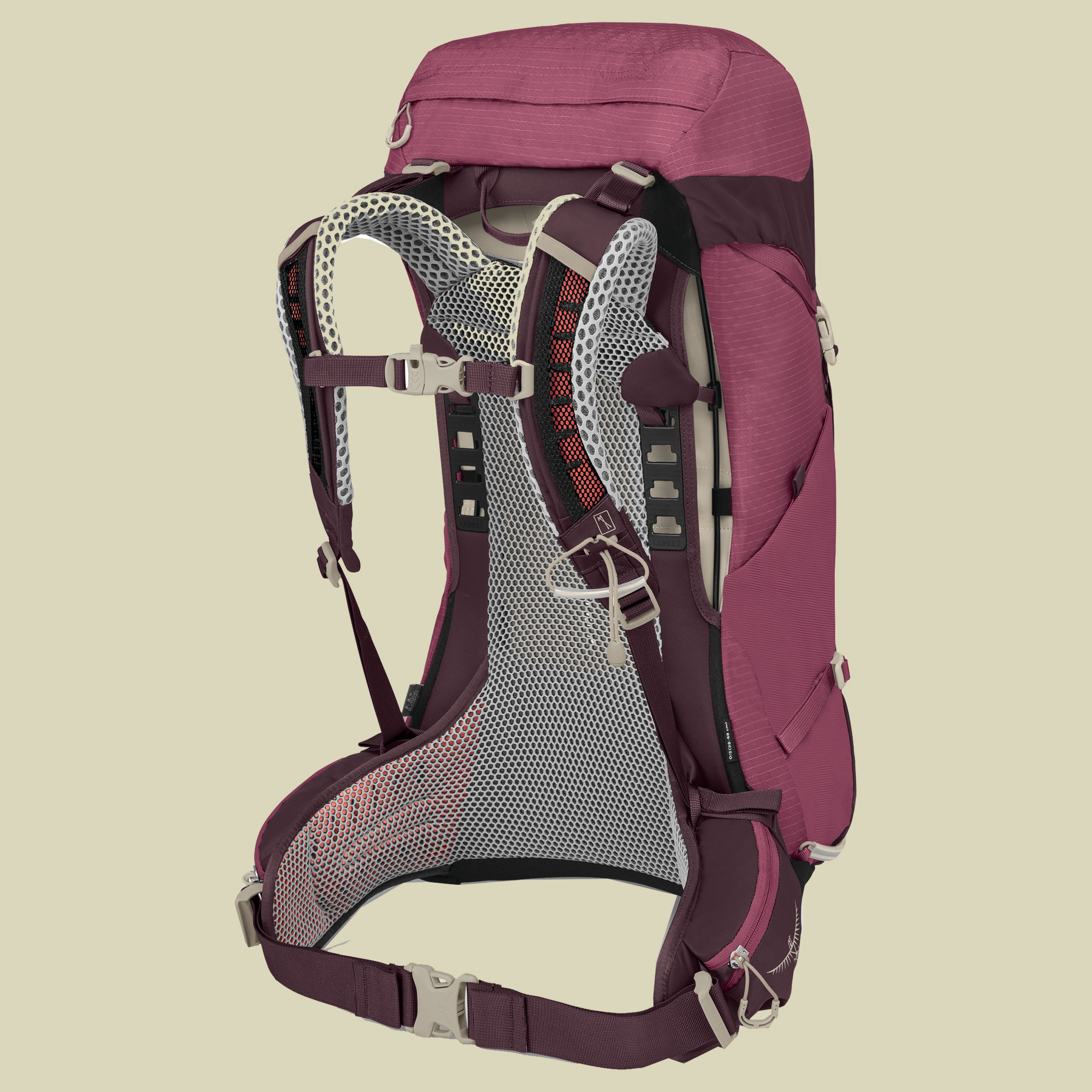 Sirrus 26 Women lila 26 - elderberry purple-chiru tan 