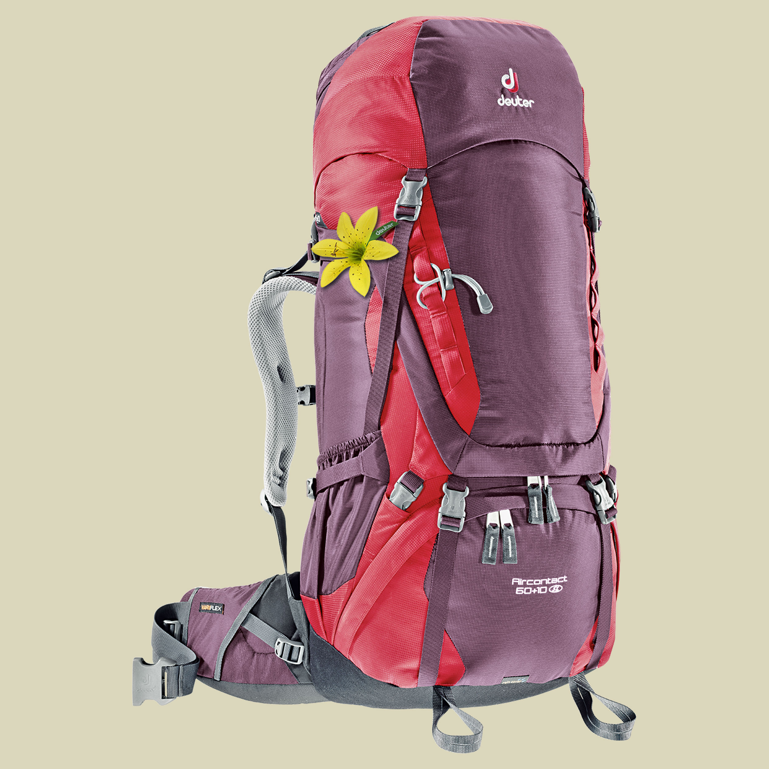 Aircontact 60 + 10 SL Women Volumen 60 L + 10 L Farbe aubergine-cranberry