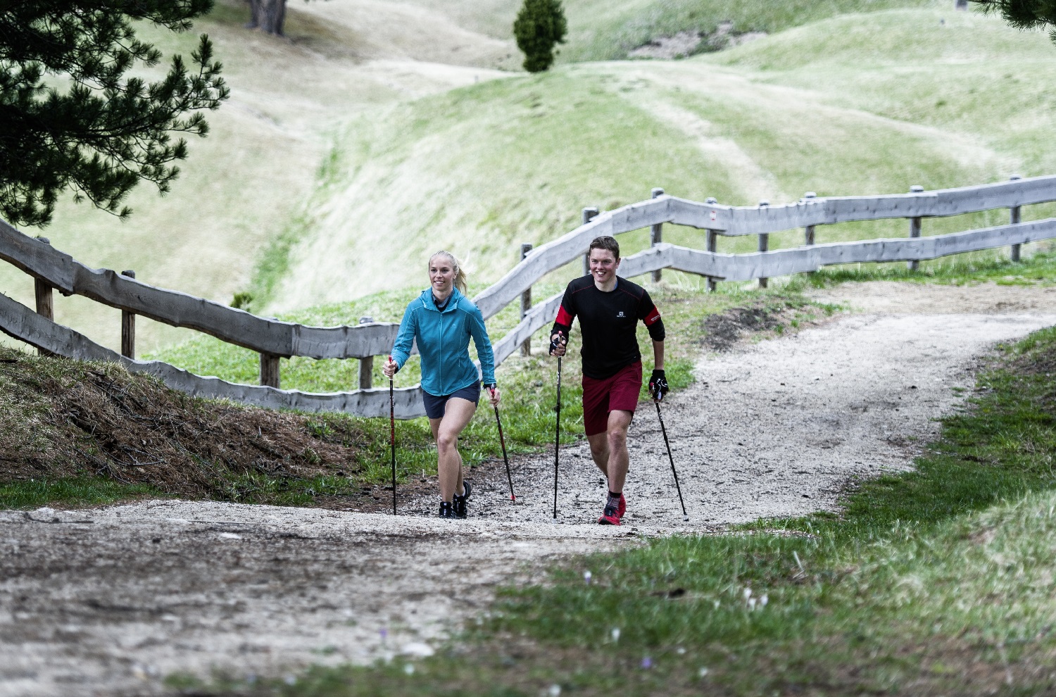 Leki Nordic Walking Imagebild