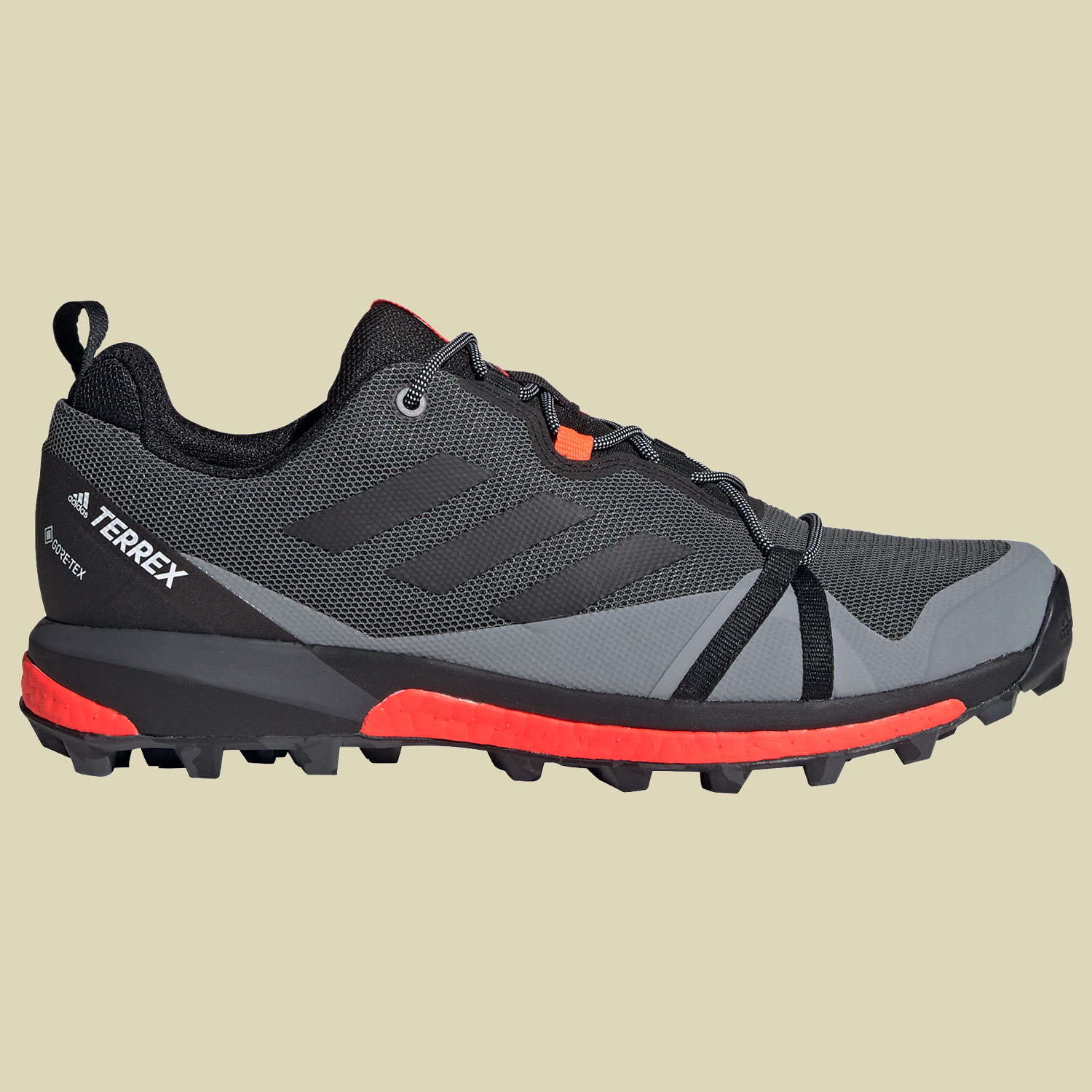 Terrex Skychaser LT GTX Men