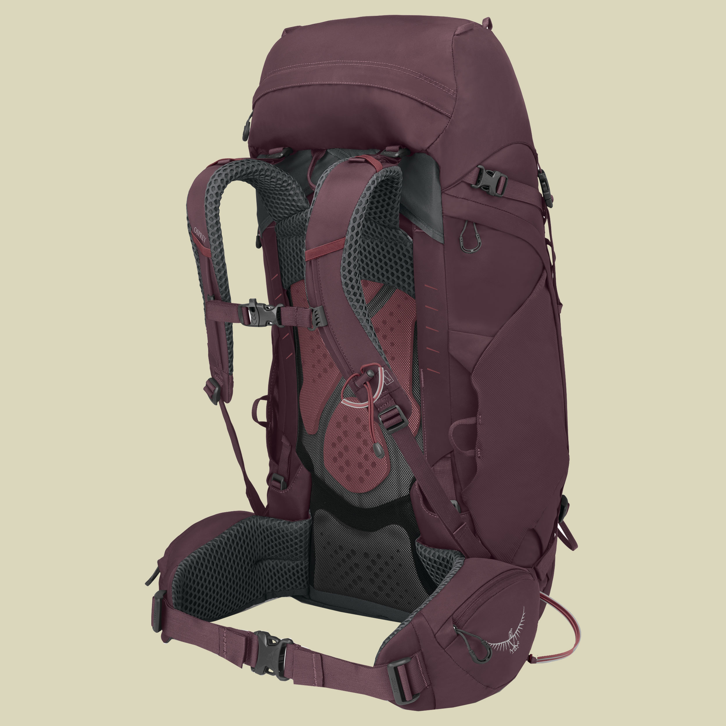 Kyte 48 lila WM/L Farbe elderberry purple