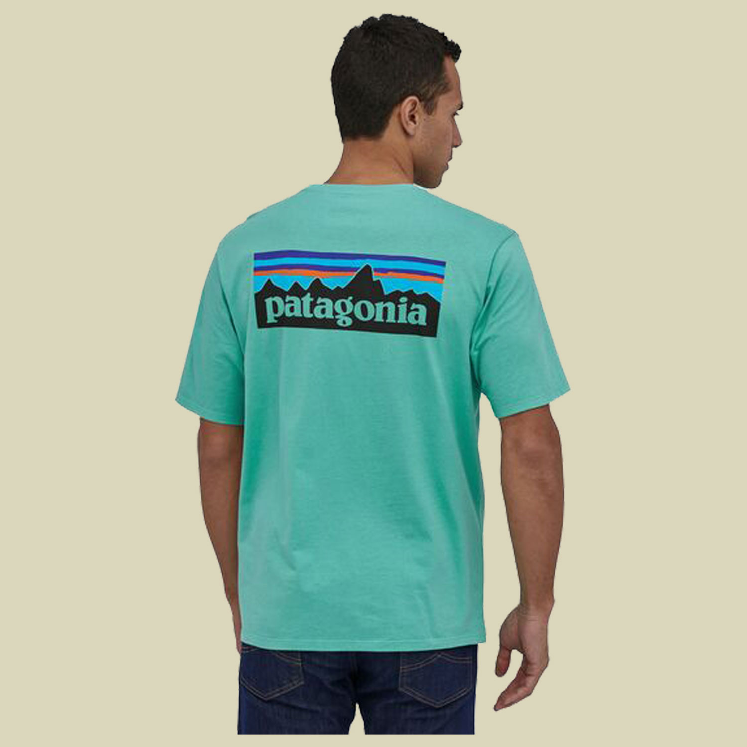 P-6 Logo Organic T-Shirt Men Größe L  Farbe light beryl green