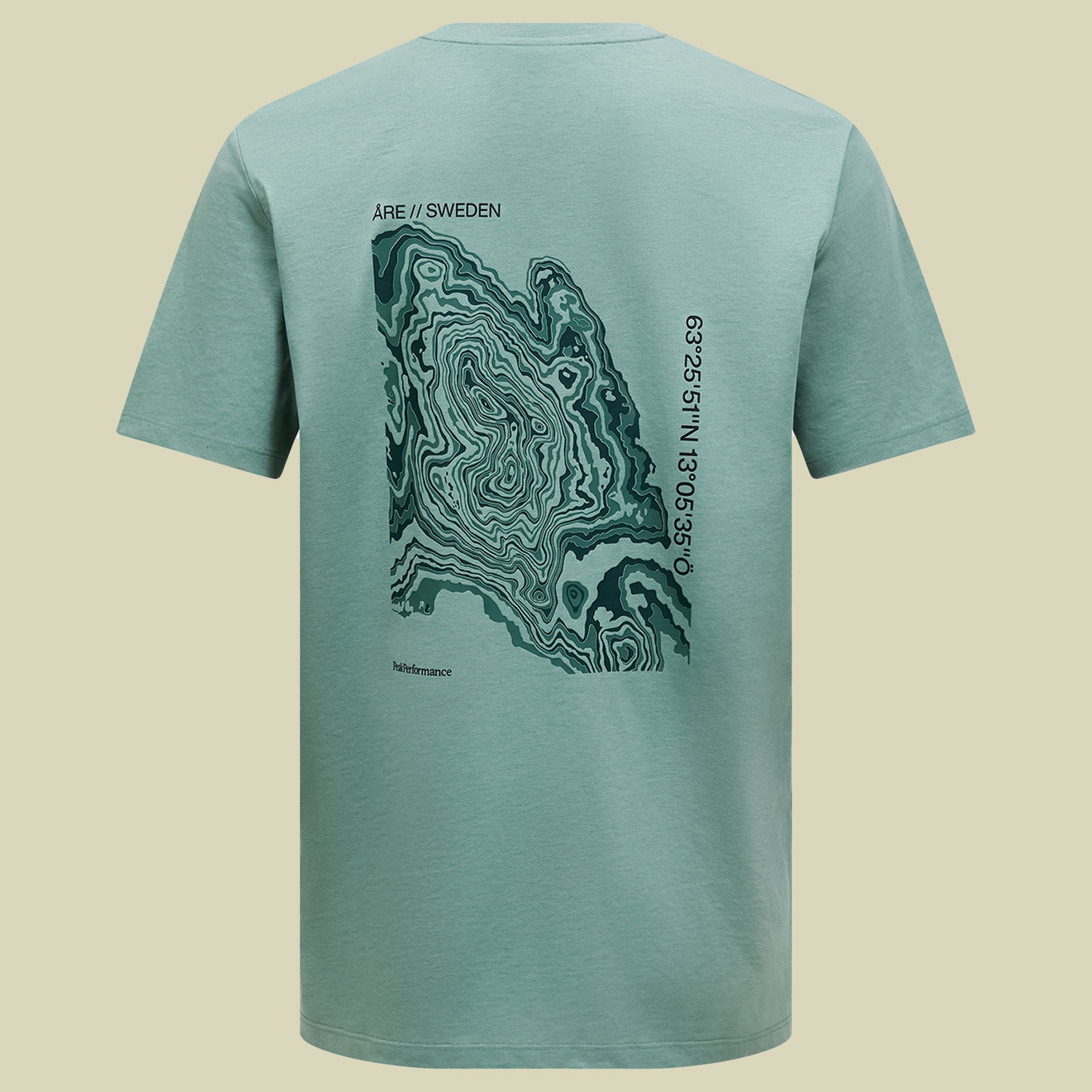 Explore Graphic Tee Men M grün - green valley