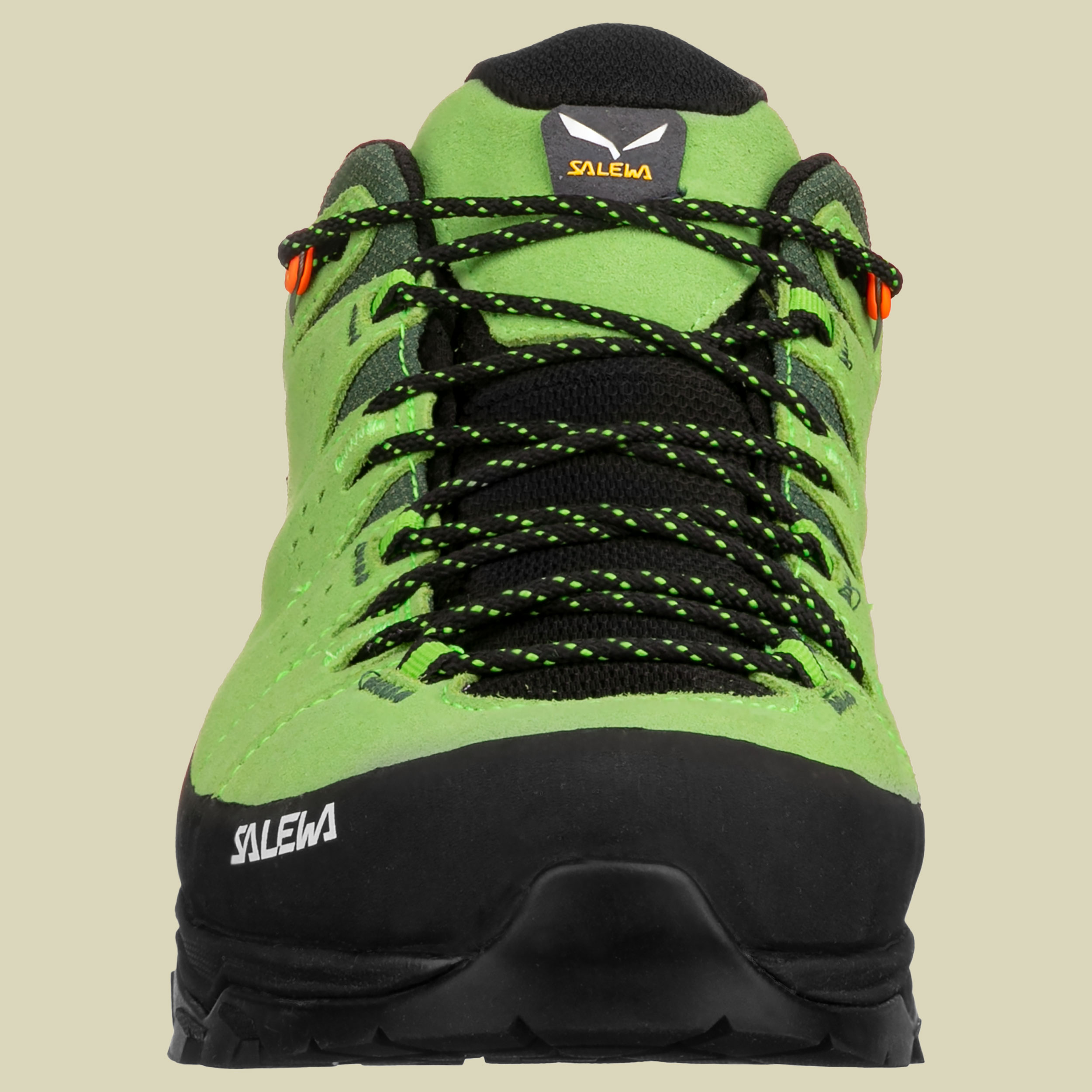 Alp Trainer 2 GTX Men Größe UK 9,5 Farbe pale frog/black