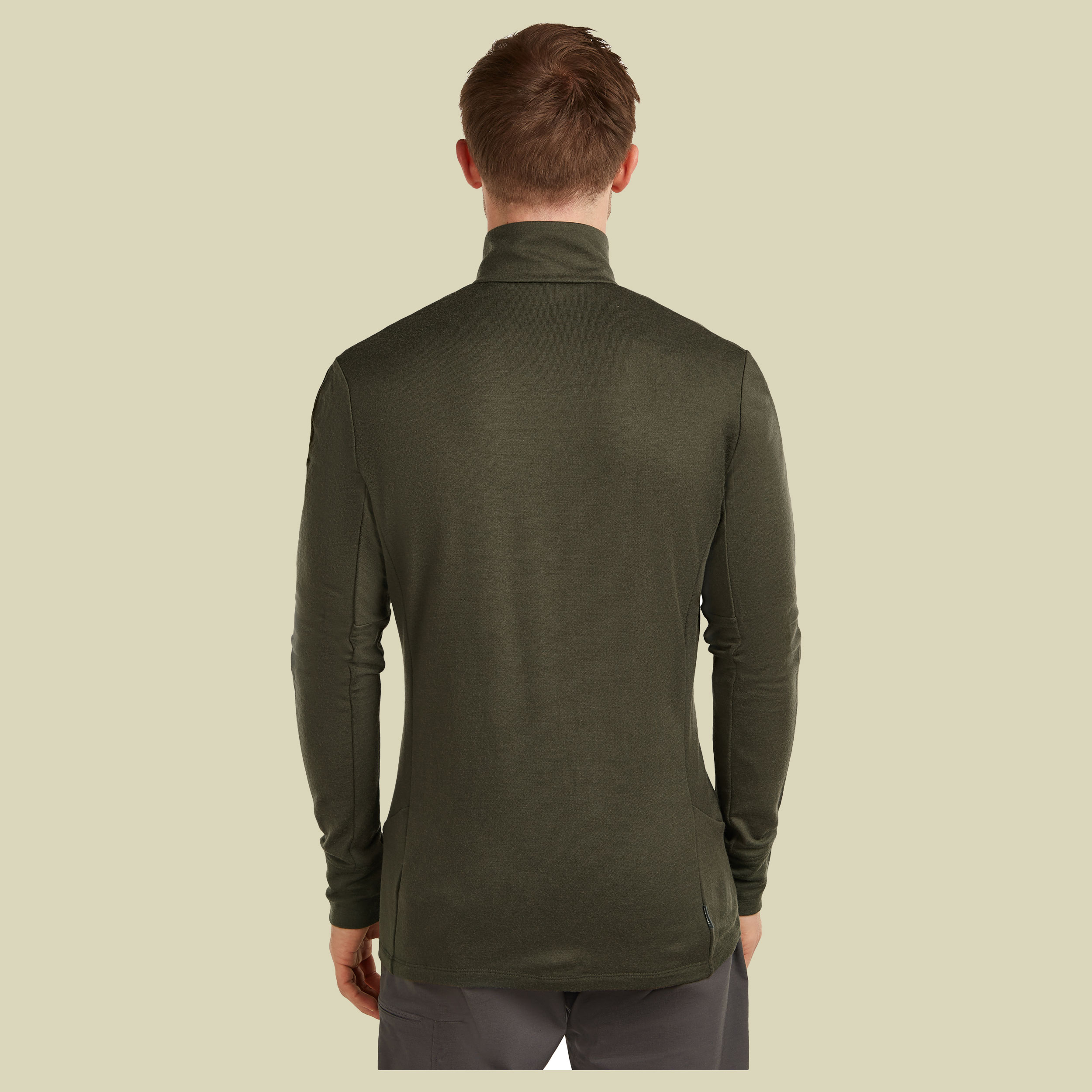 Merino 260 Quantum IV LS Zip Men