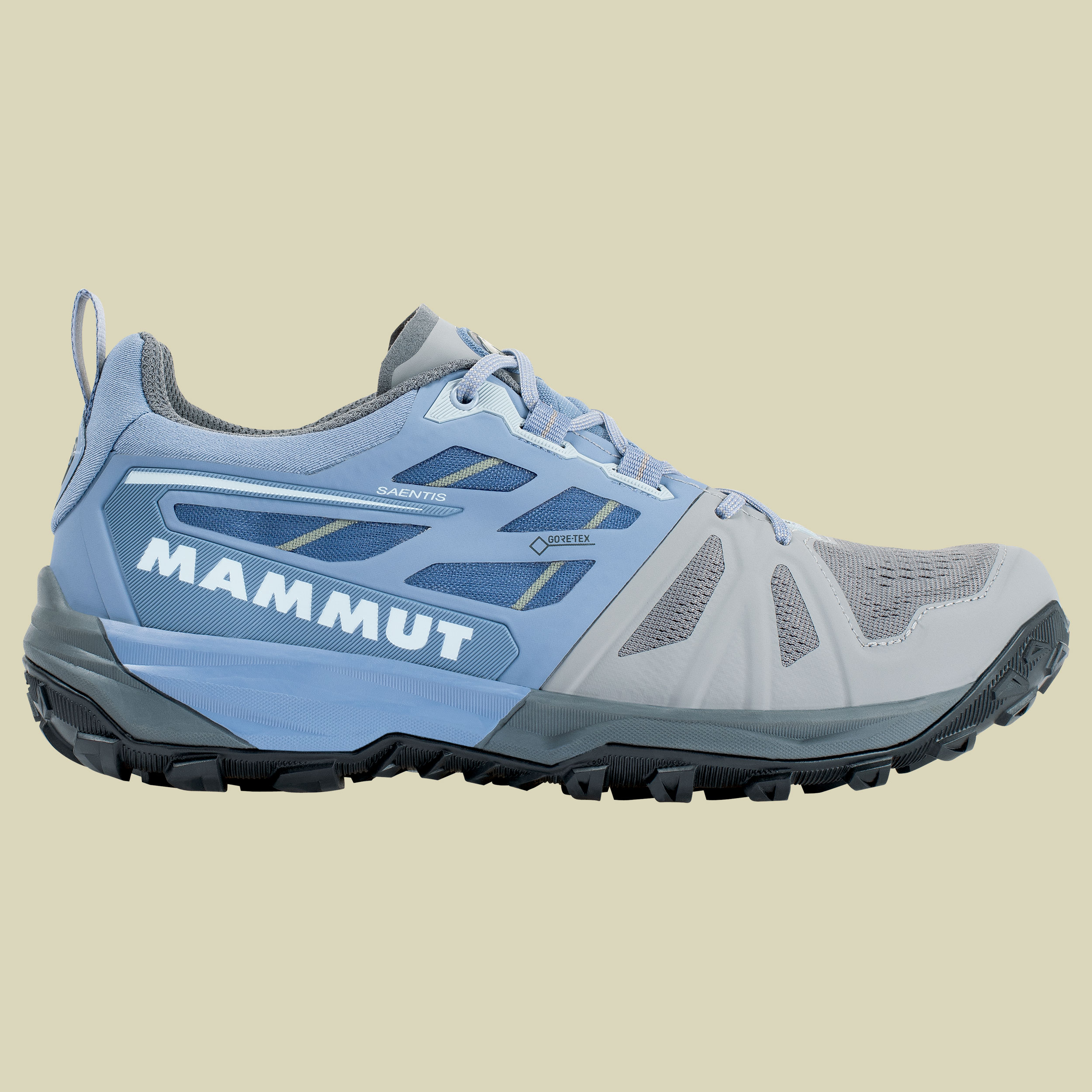 Saentis Low GTX Women Größe UK 7,5  Farbe light titanium-dark zen