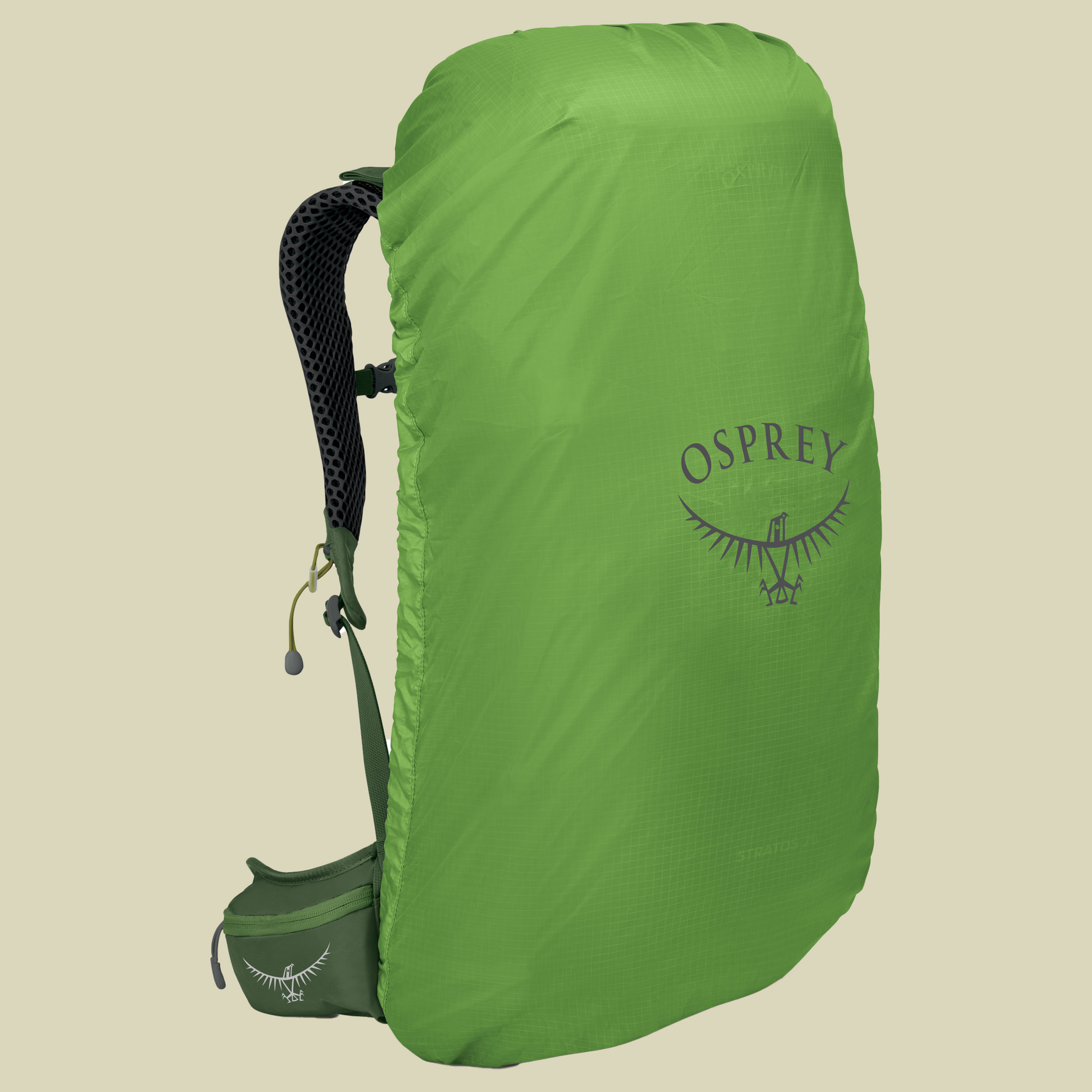 Stratos 26 Men grün 26 - Farbe seaweed-matcha green