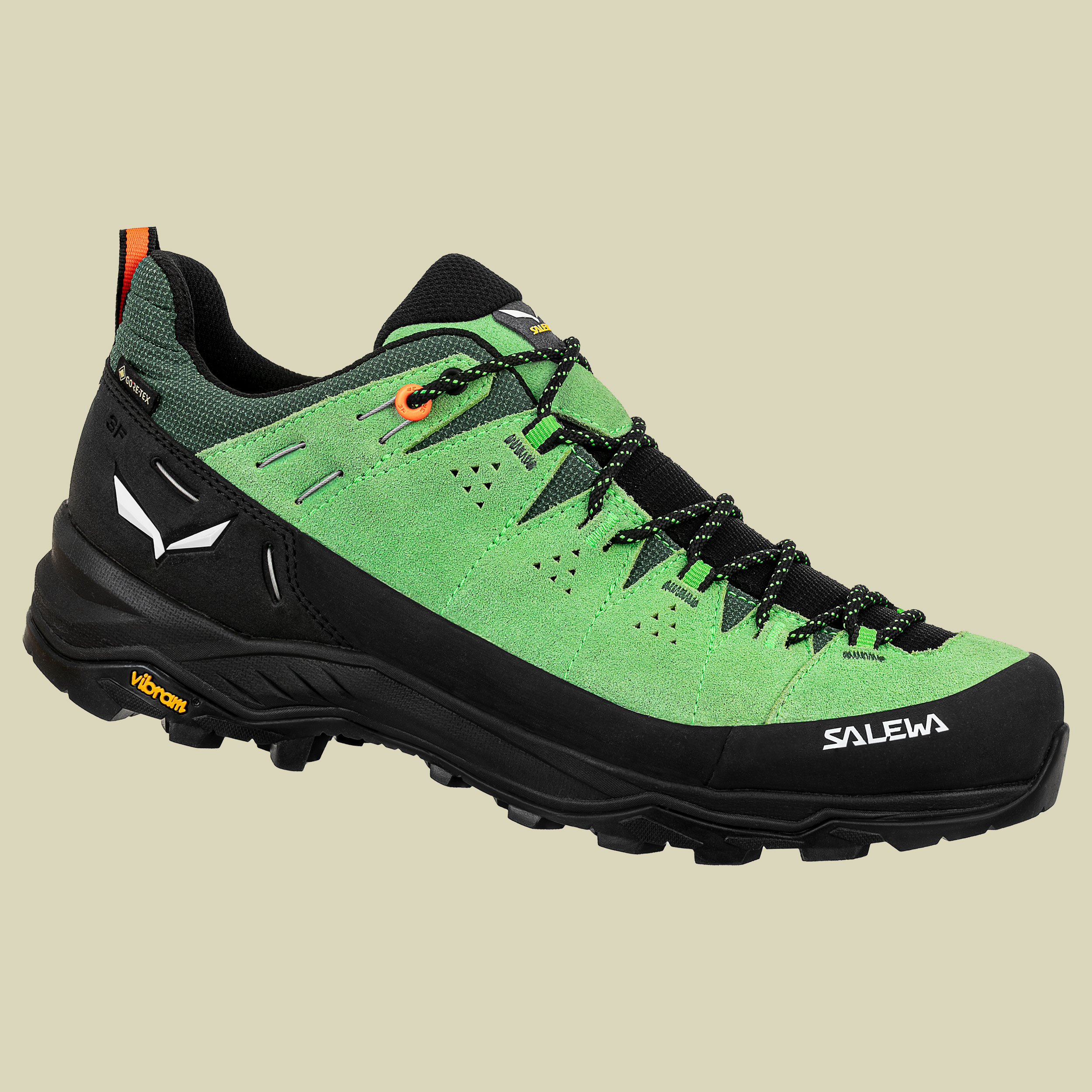 Alp Trainer 2 GTX Men