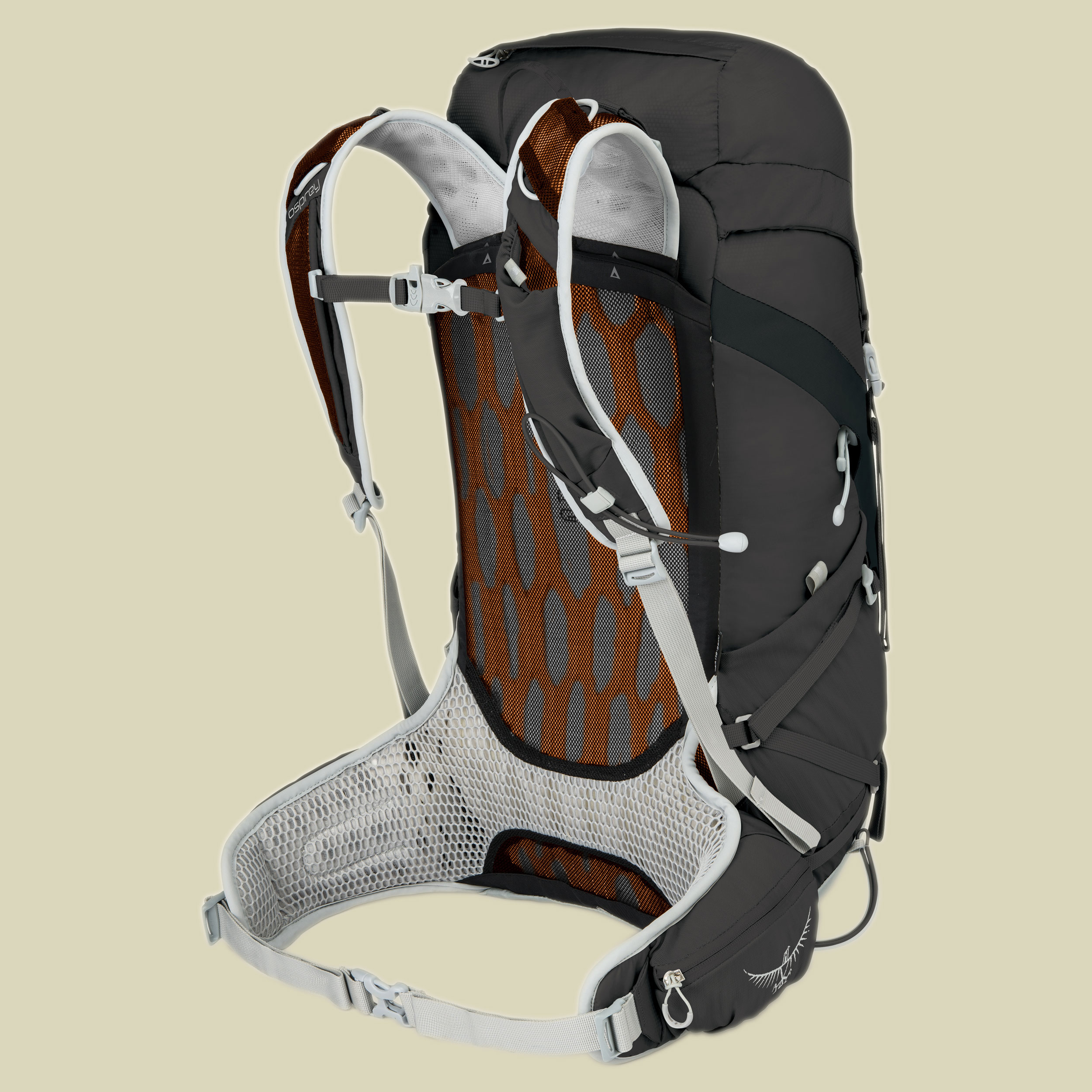 Talon 33 Men Volumen 33 (M/L) Farbe black