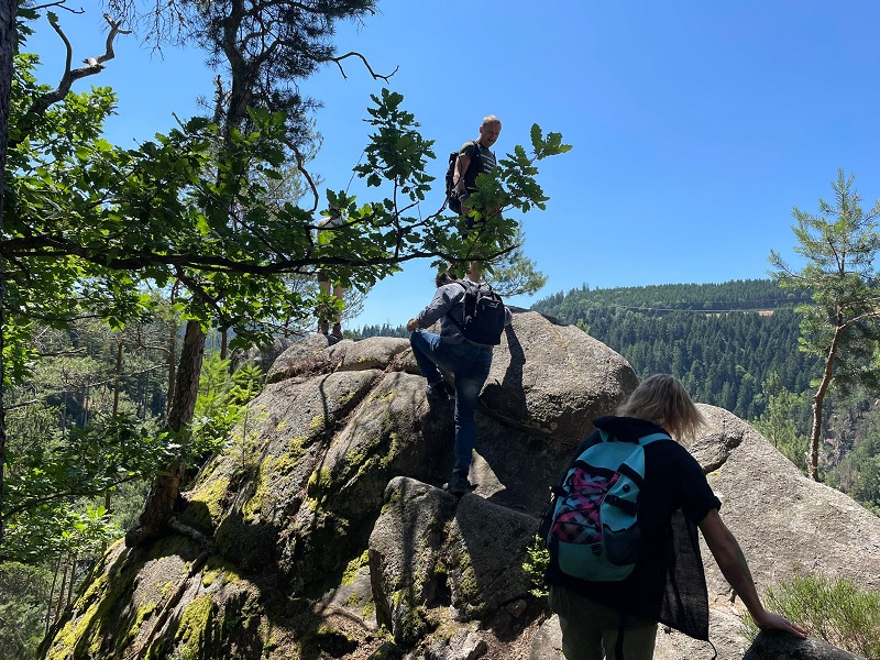 Gesundheitswanderung - Schramberger Wald