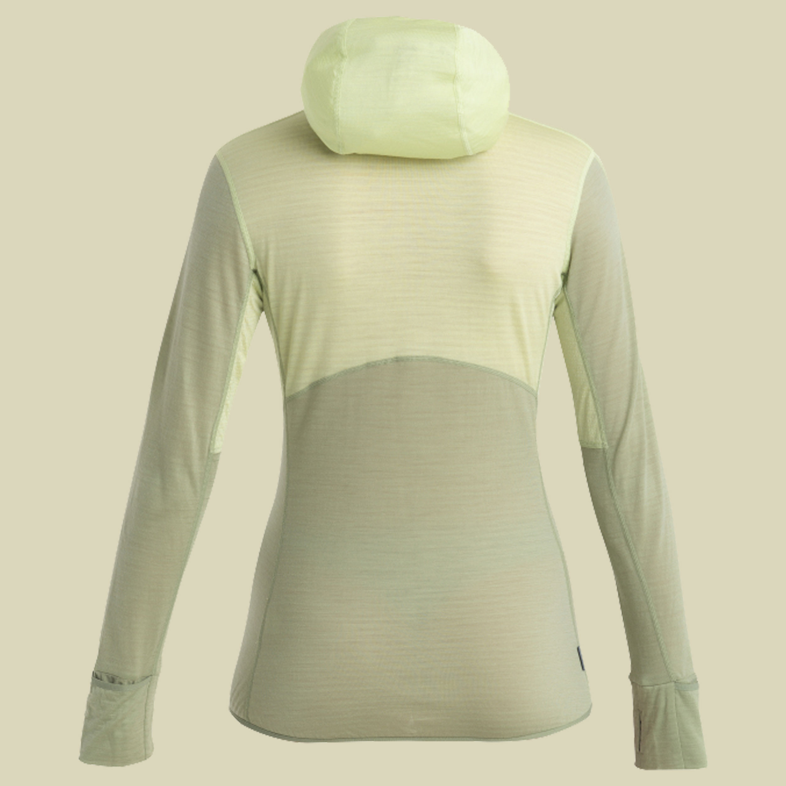 Merino 200 Realfleece Descender LS Zip Hoodie Women S grün - glazen/lichen/cb