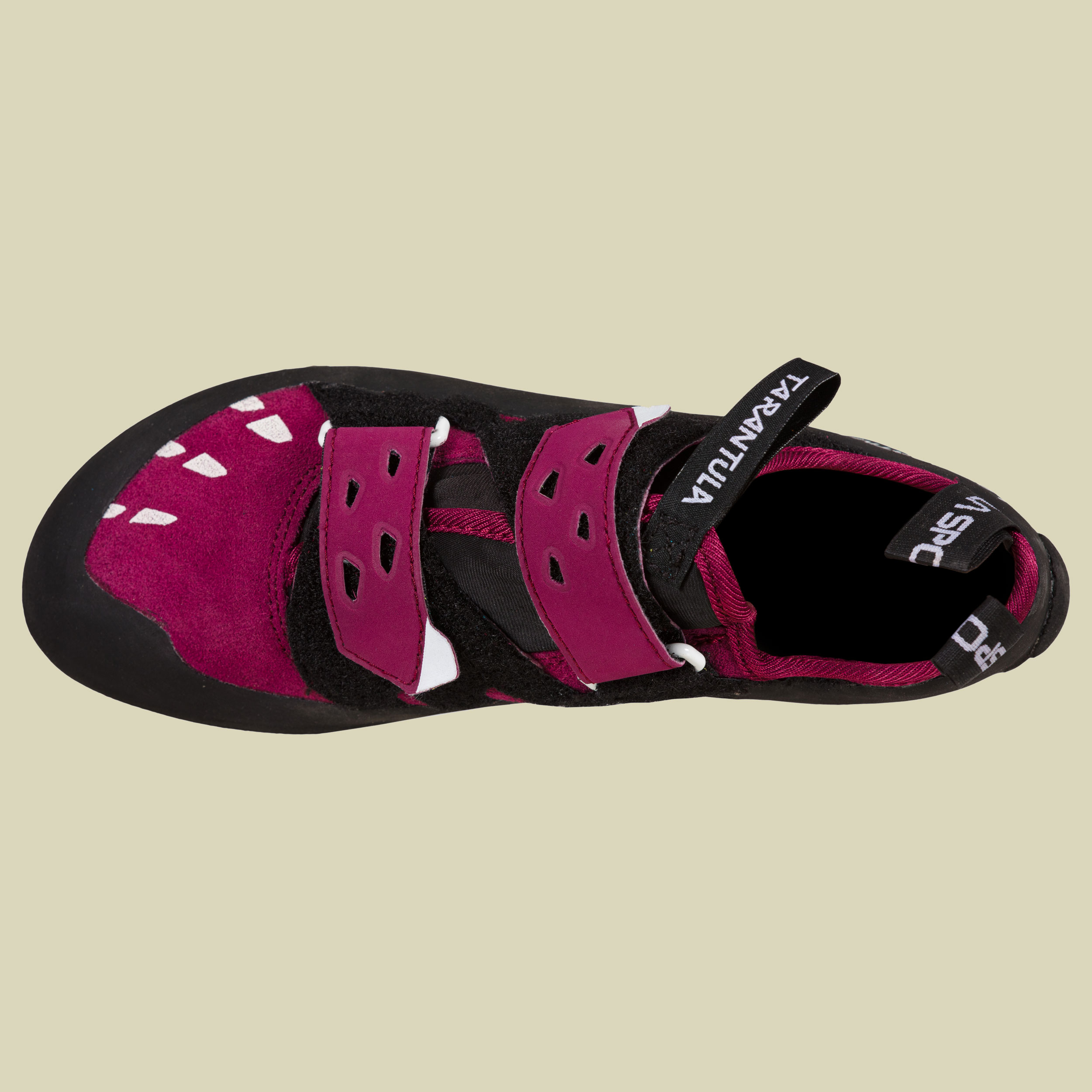 Tarantula Women red plum 37,5