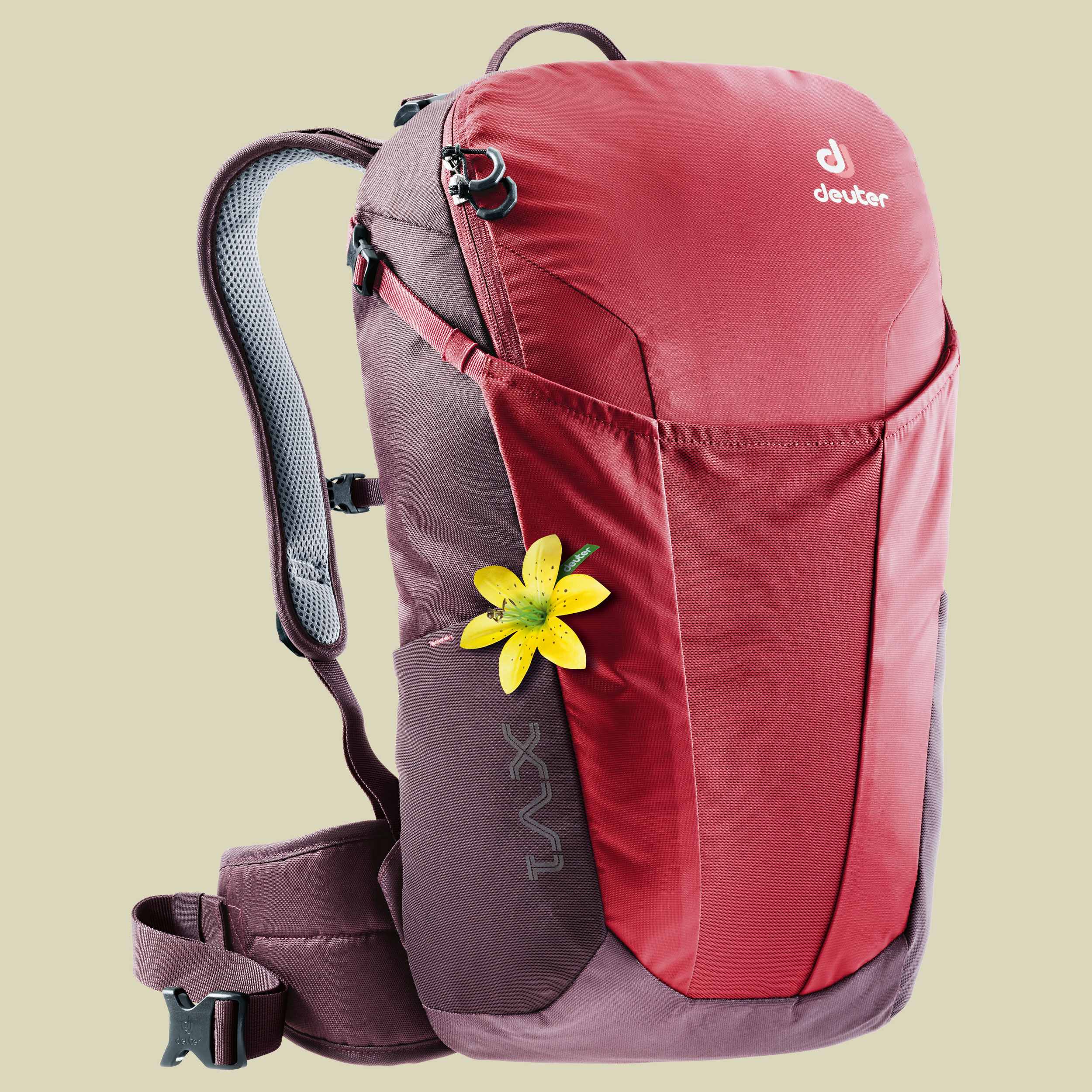 XV 1 SL Women Volumen 17 Farbe cranberry-aubergine
