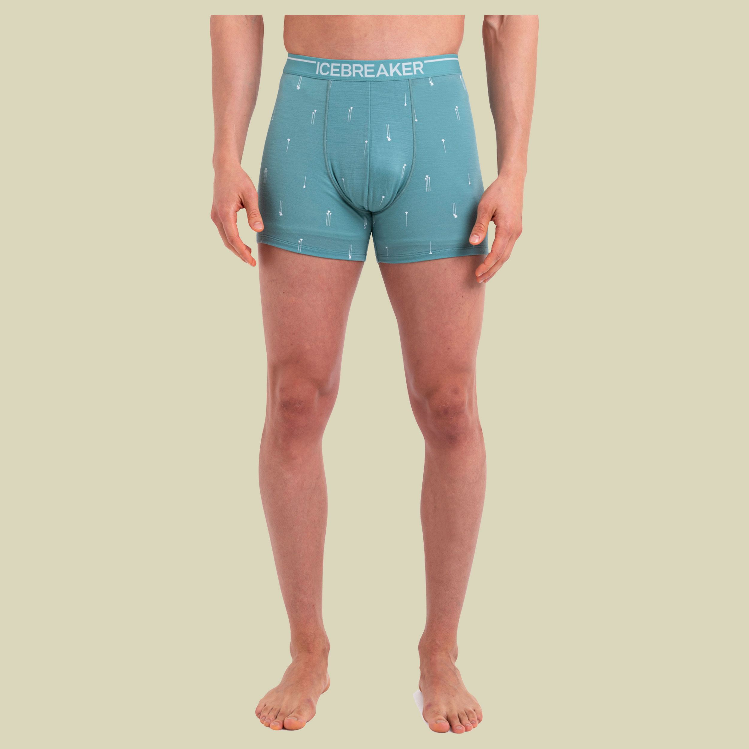 Merino Anatomica Boxers Palm Trail AOP Men L blau - cloud ray/AOP