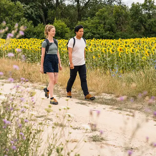 Scarpa Mojito Schuhe in Aktion - Zwei Menschen laufen auf einem sandigen Pfad neben einem Sonnenblumenfeld