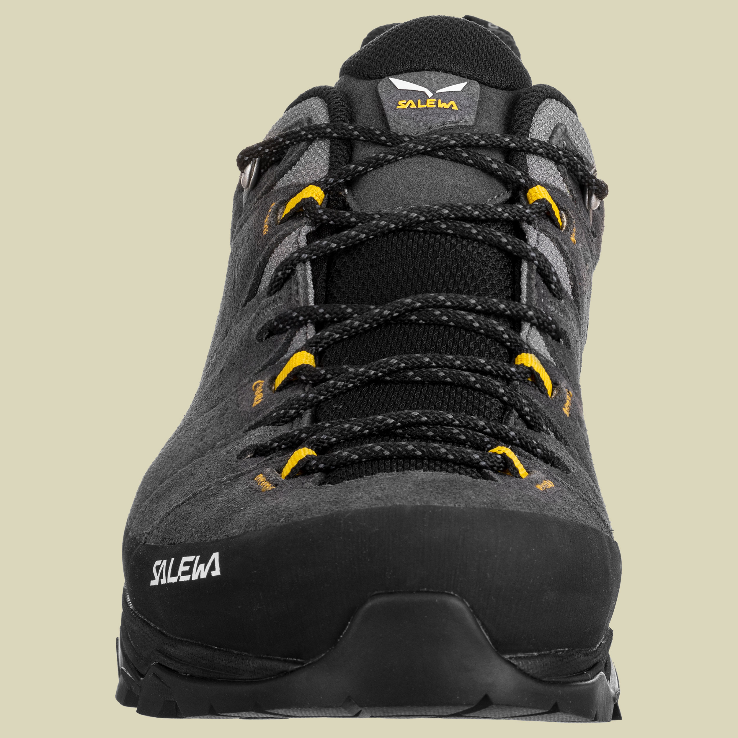 Alp Trainer 2 GTX Men Größe UK 12 Farbe onyx/black