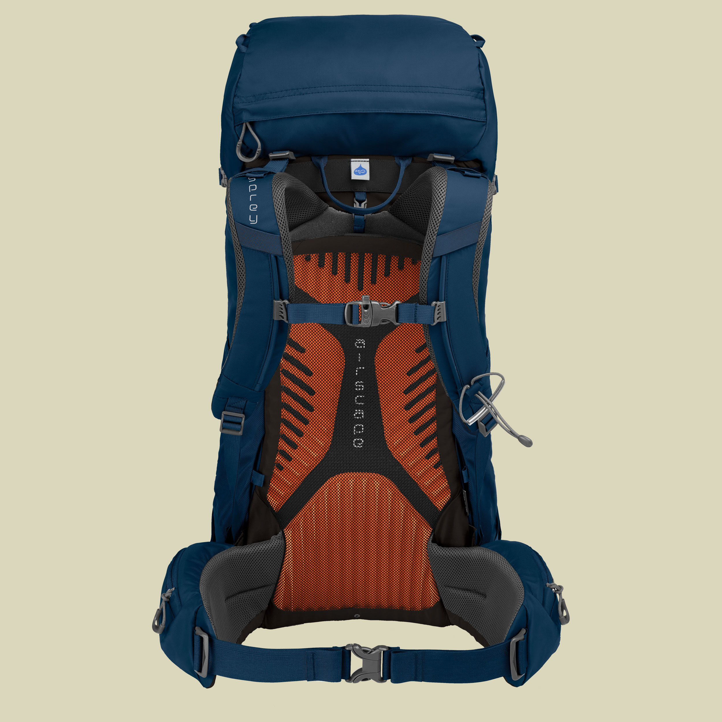 Kestrel 38 Men Volumen 36 Farbe loch blue