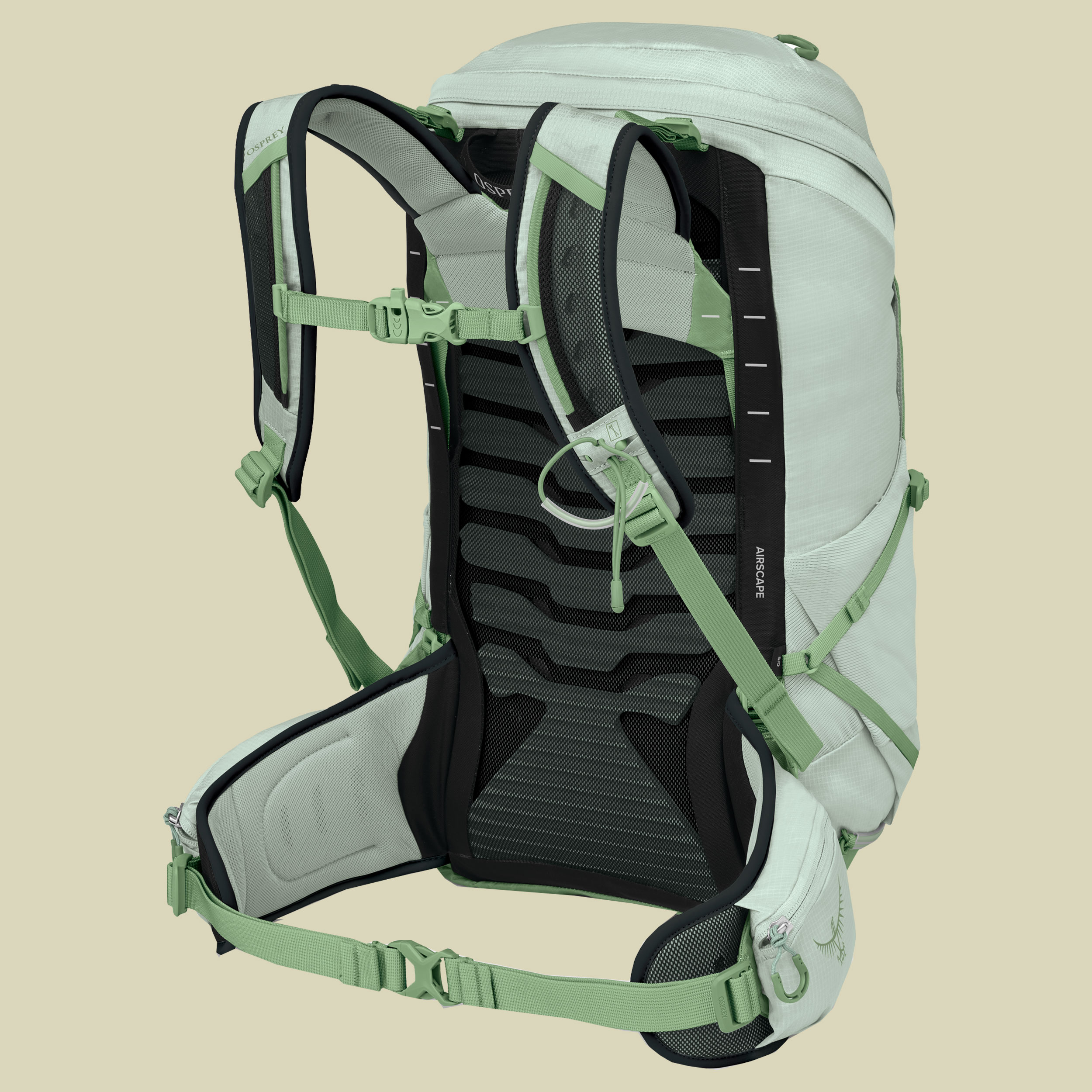 Tempest 26 Women 26 grün - frosty mint green/botanica