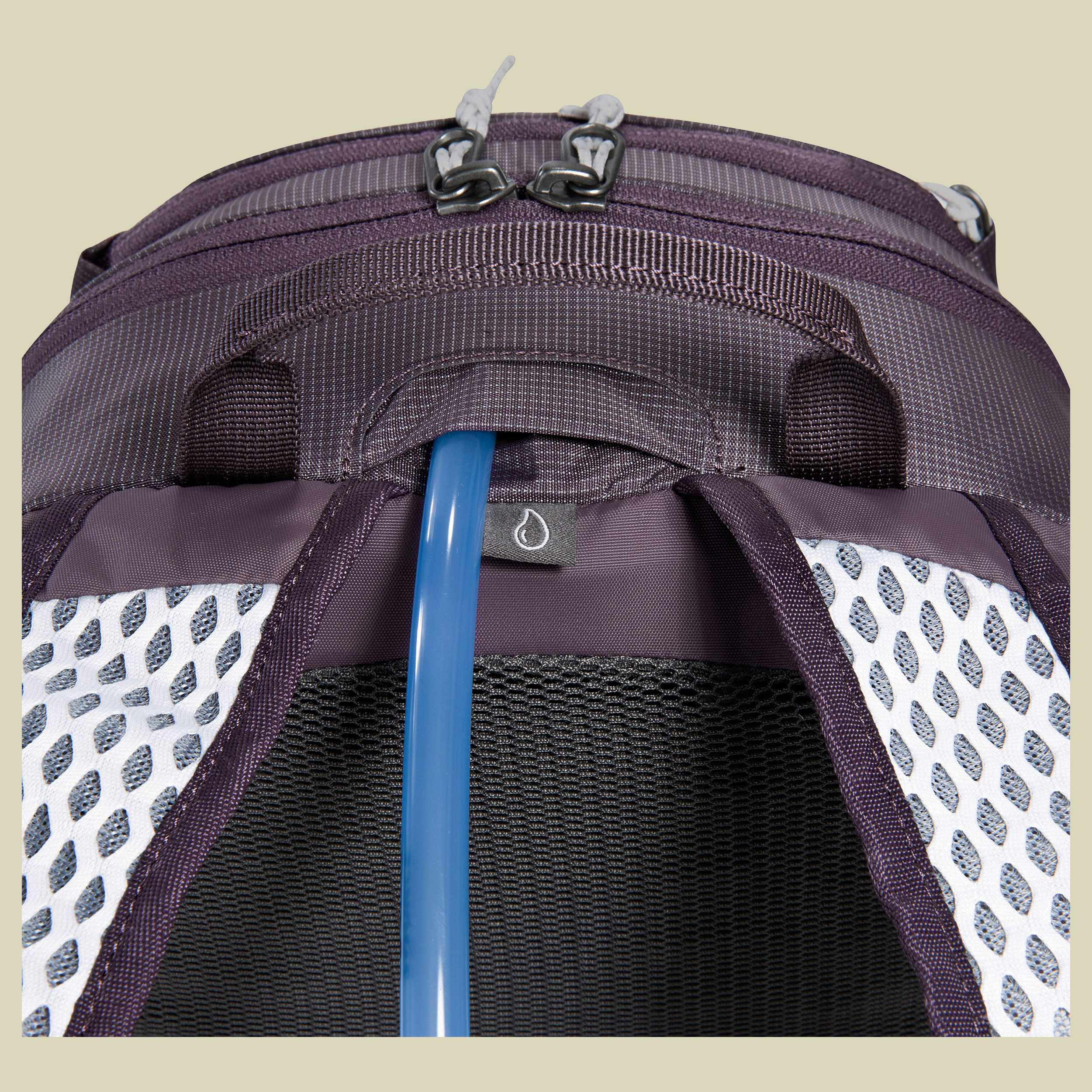 Active Pack 9 Women 9 lila - midnight plum