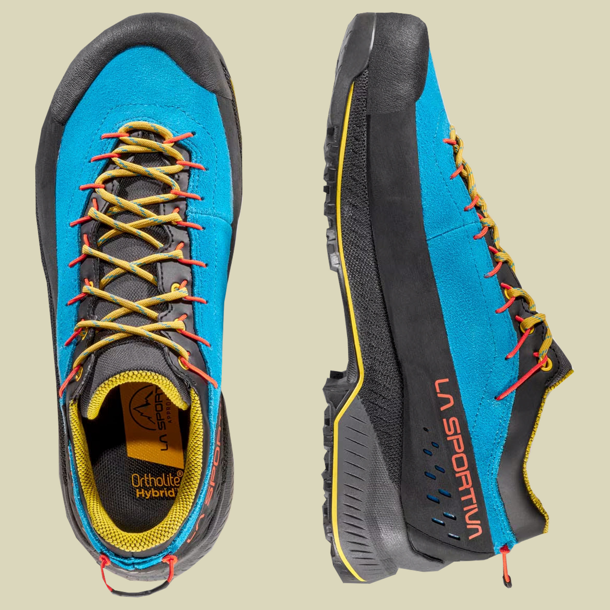 TX4 Evo GTX Men 46 blau - tropic blue/bamboo