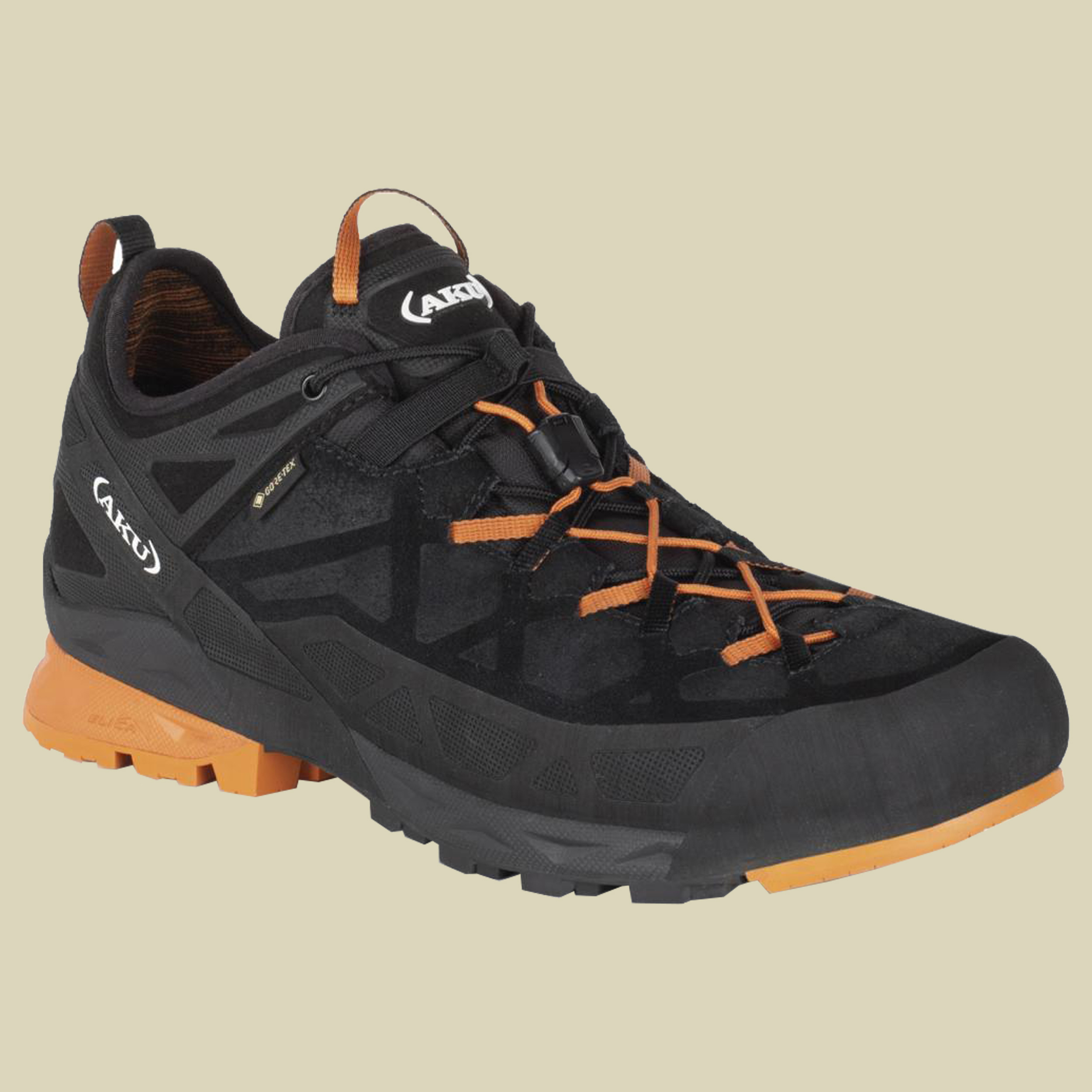 Rock DFS GTX Men
