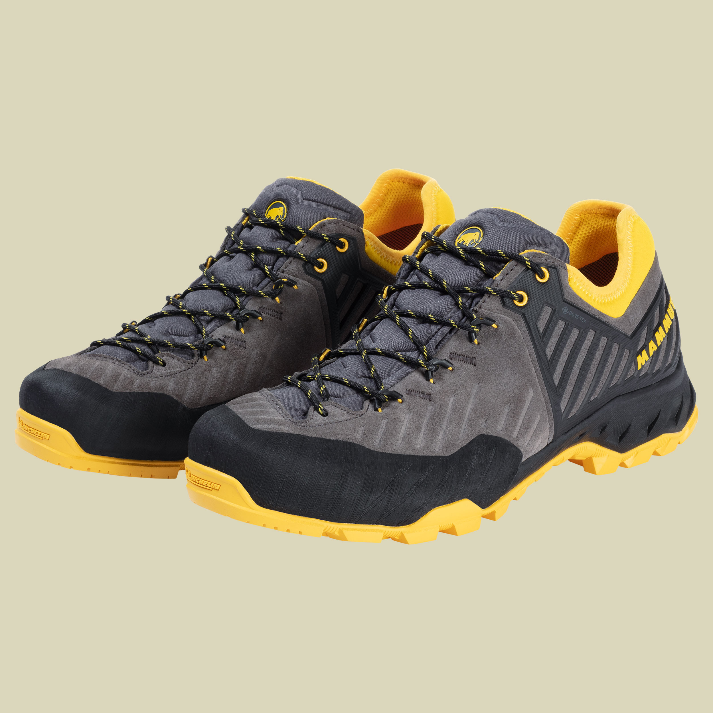 Alnasca II Low GTX Men Größe UK 11 Farbe dark titanium-freesia