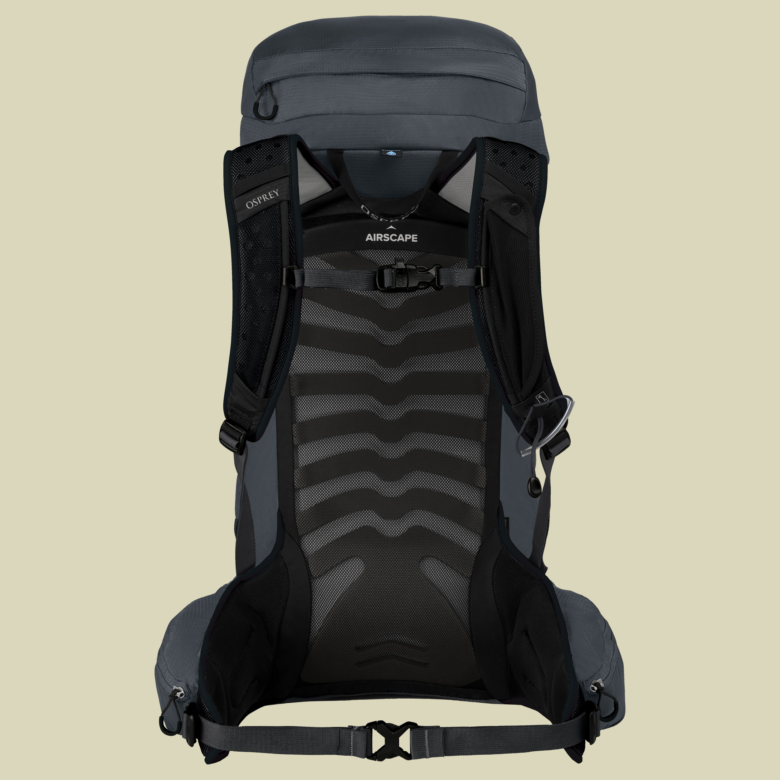 Talon 33 Men Volumen 33 L, Rückenlänge S/M Farbe eclipse grey