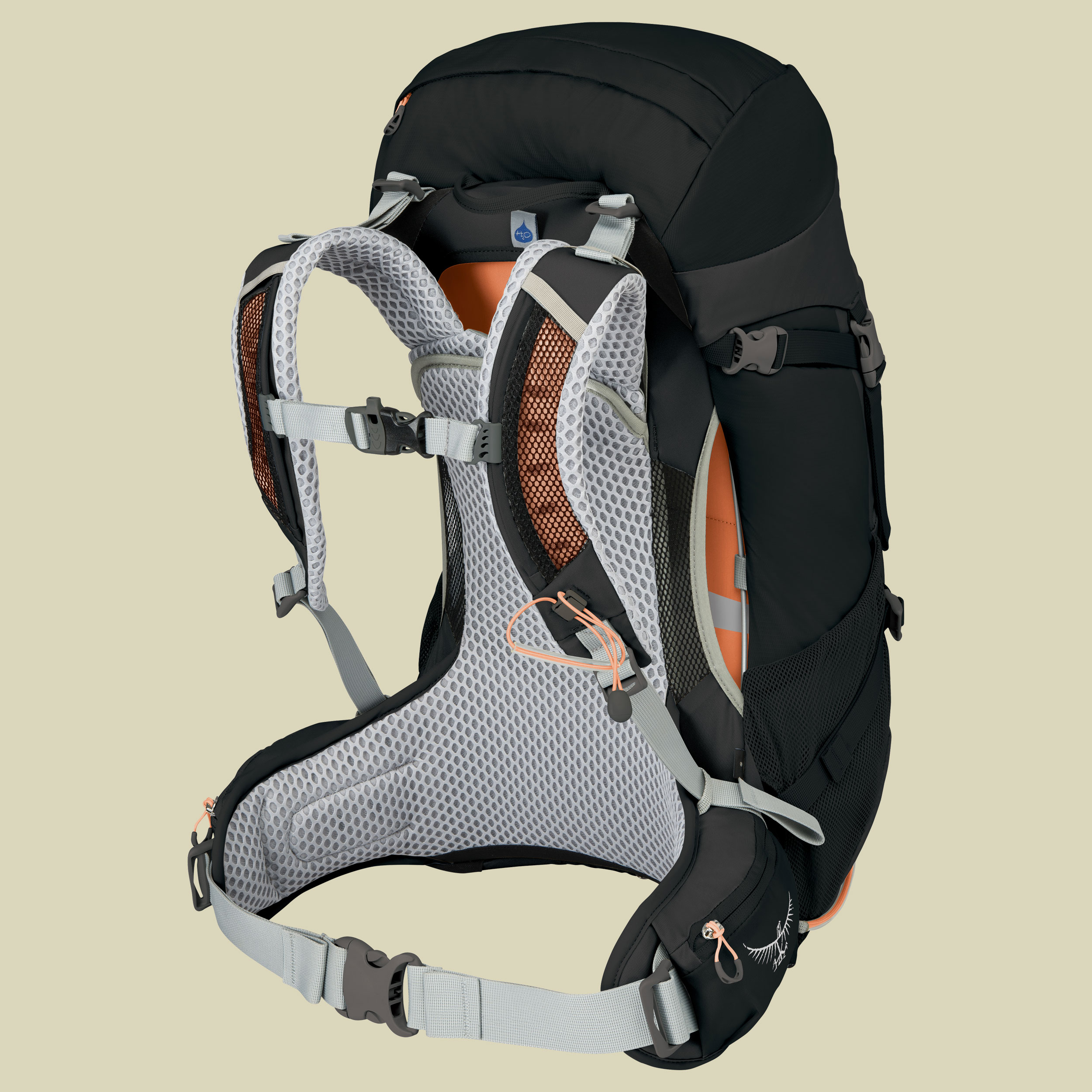 Sirrus 26 Women Volumen 26 Farbe black