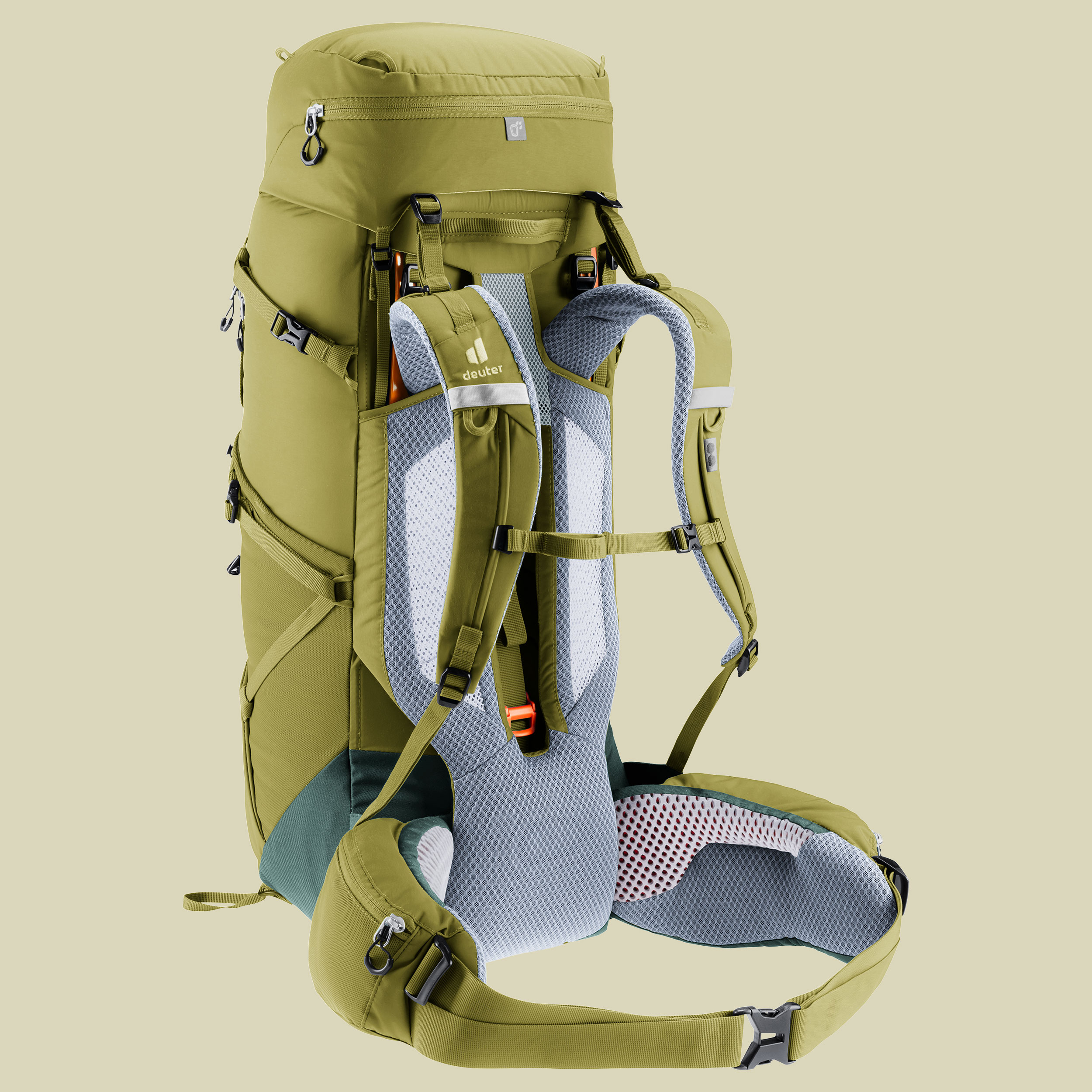 Aircontact Core 40+10 grün 40 L + 10 L - Farbe cactus-ivy