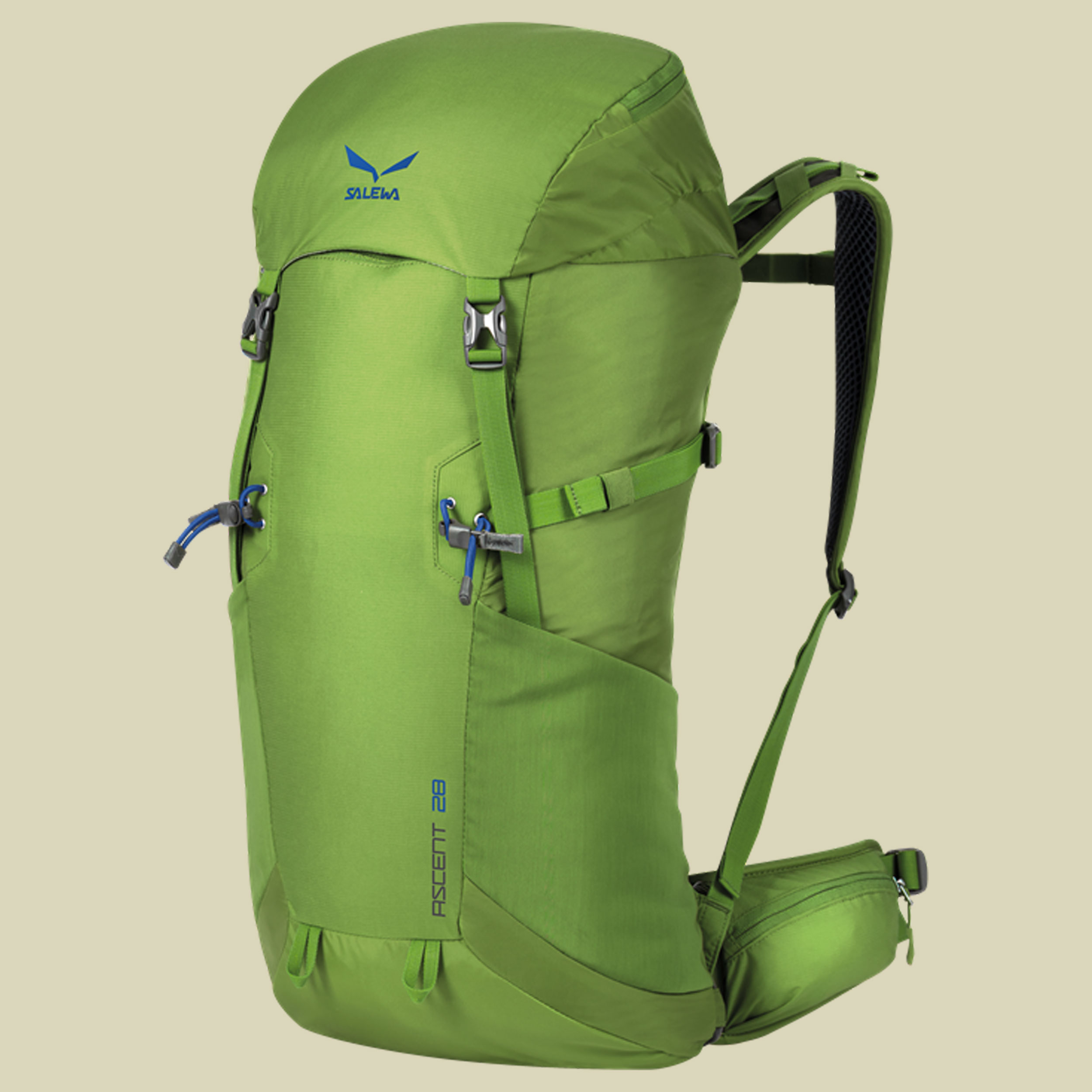 Ascent 28 Volumen 28 Farbe carbon