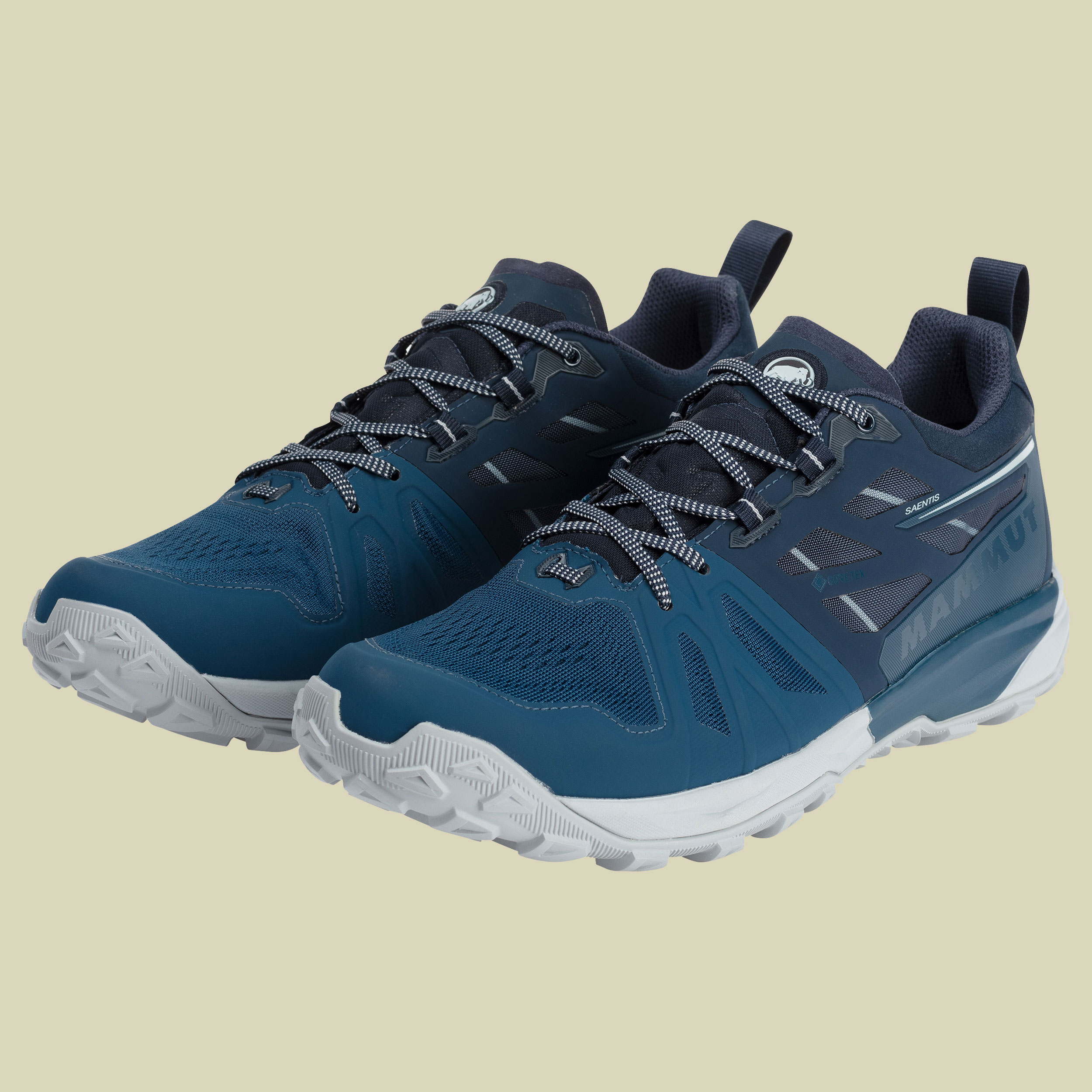 Saentis Low GTX Men