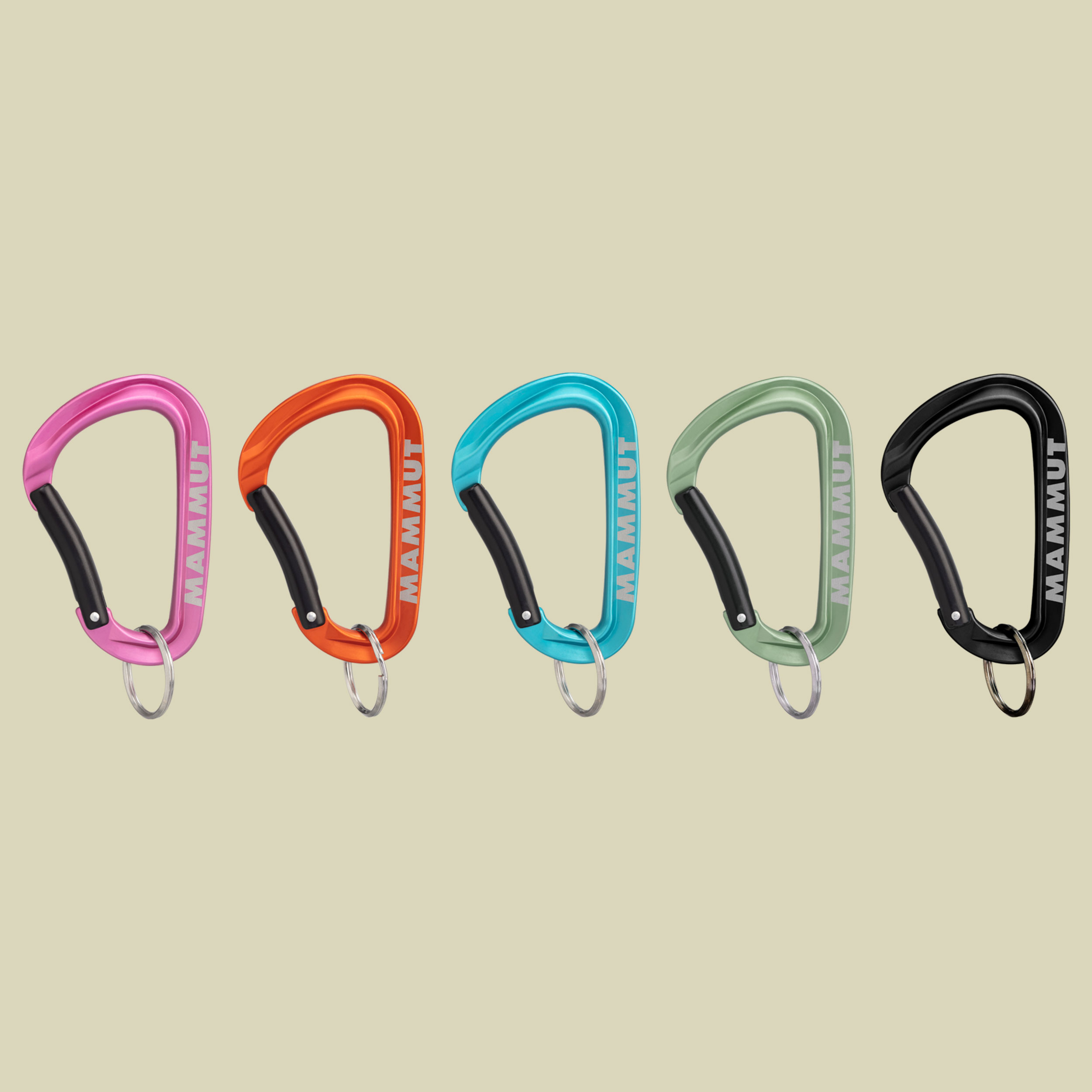 Mammut Mini Carabiner Workhorse Keylock L