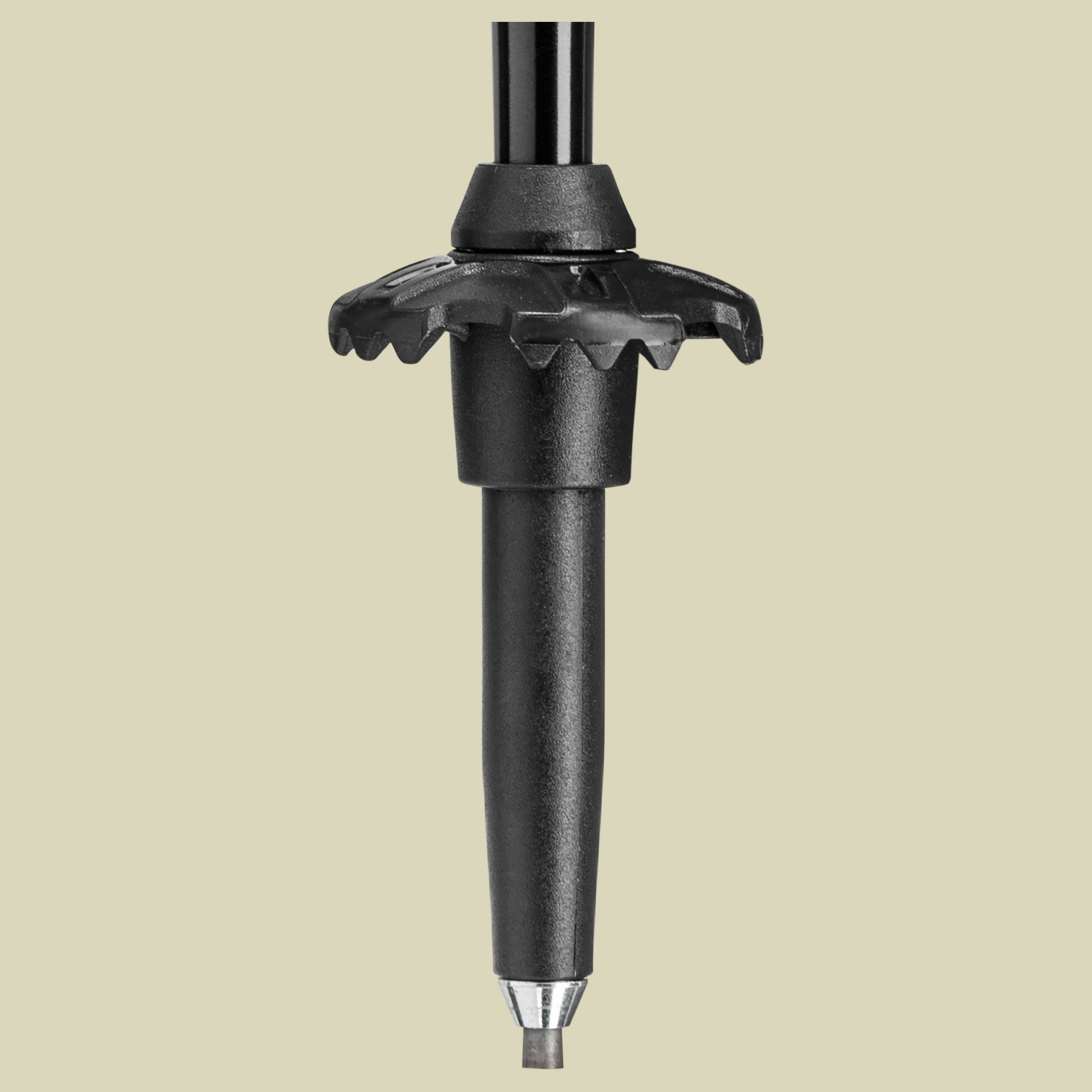 Sherpa FX Carbon Strong Länge 120 - 140 cm Farbe black-naturalcarbon-light anthracite