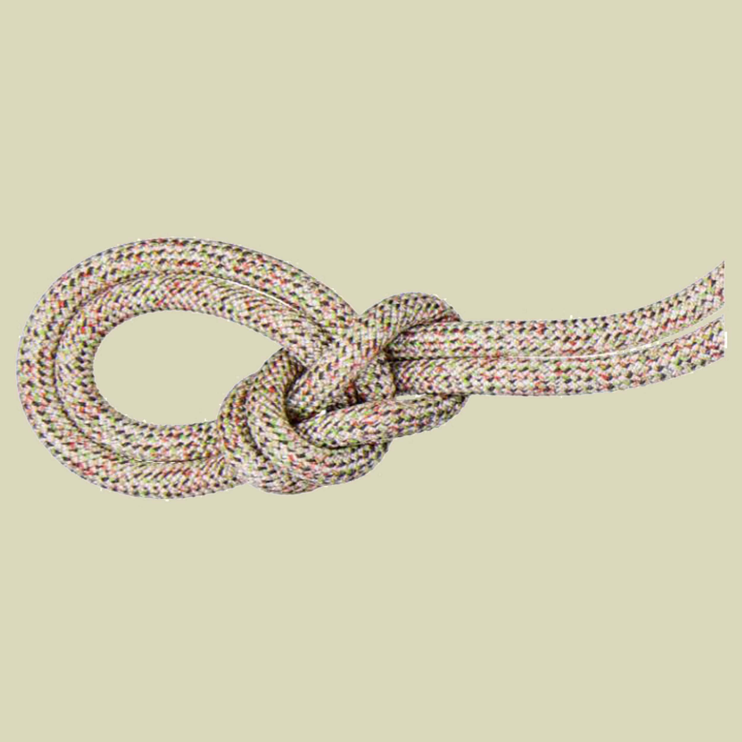 9.5 Crag We Care Classic Länge 60 m Farbe assorted