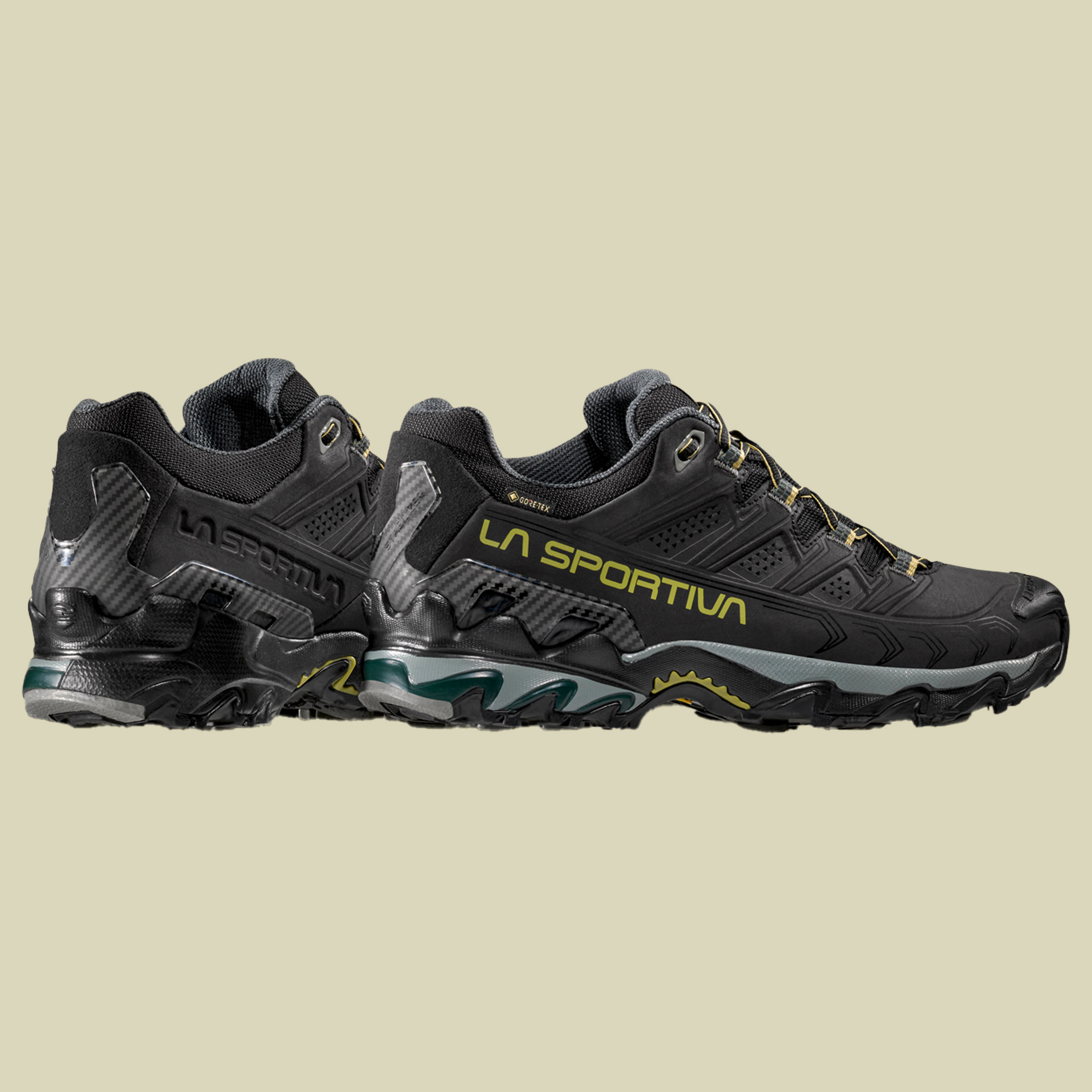 Ultra Raptor II Leather Wide GTX Men 47 schwarz