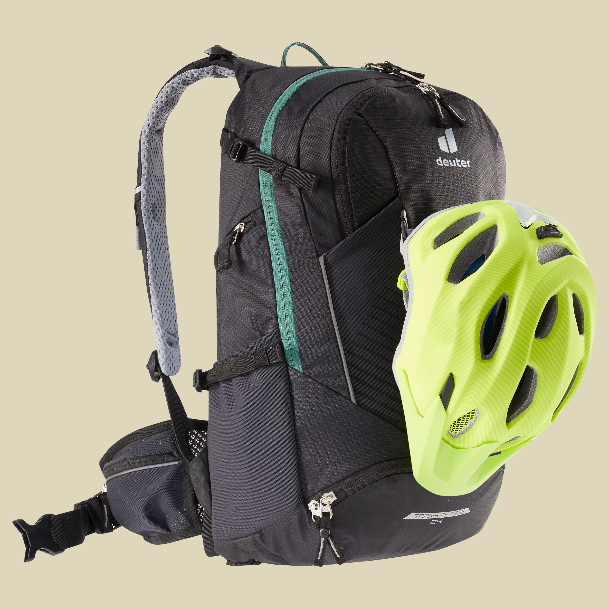 Trans Alpine 24