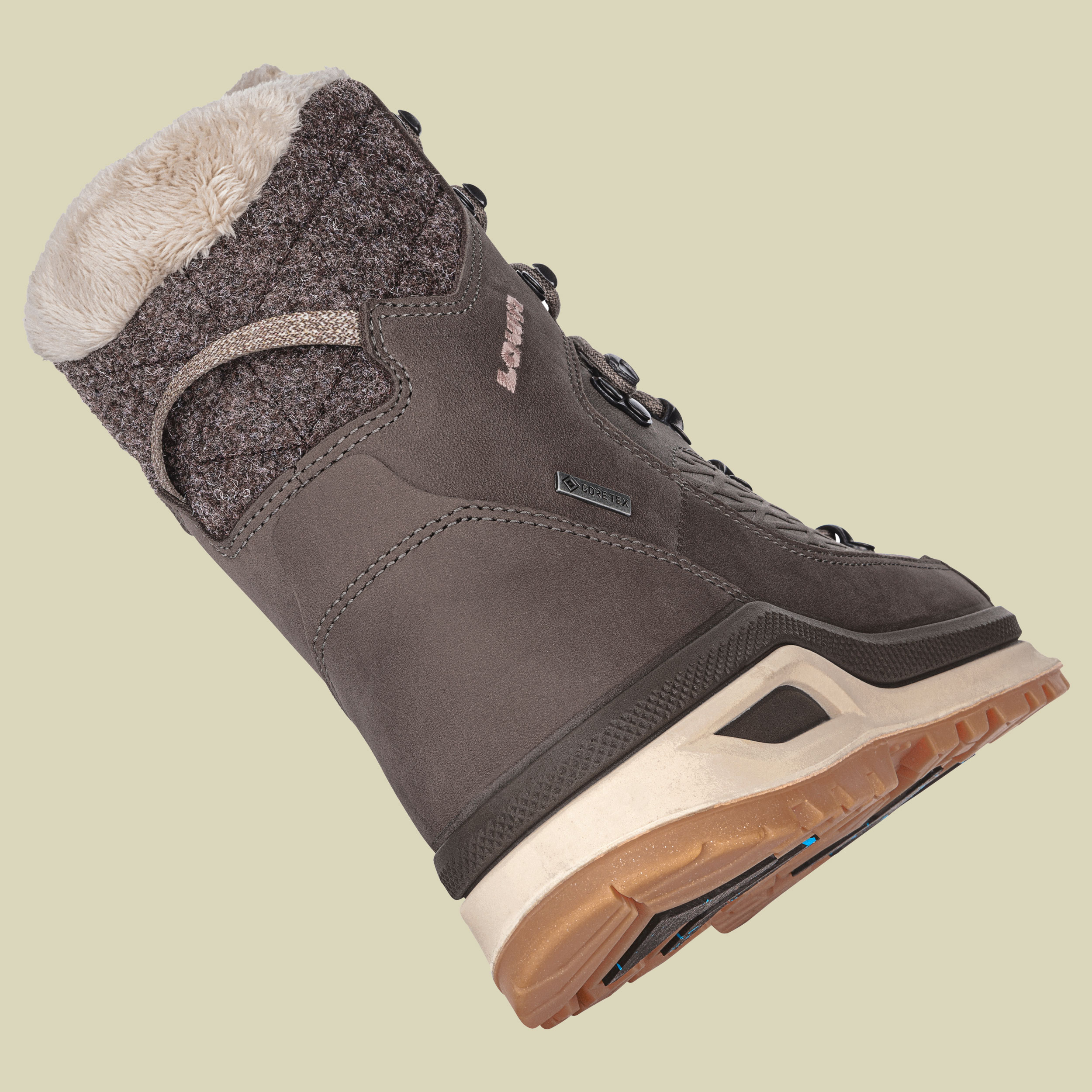 Renegade Evo Ice GTX Women UK 6 braun - stein/champagner