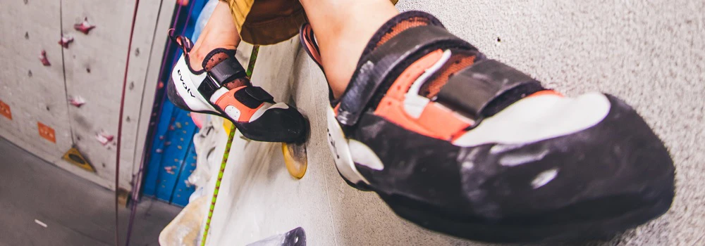 Evolv Kletterschuhe an einer Kletterwand indoor