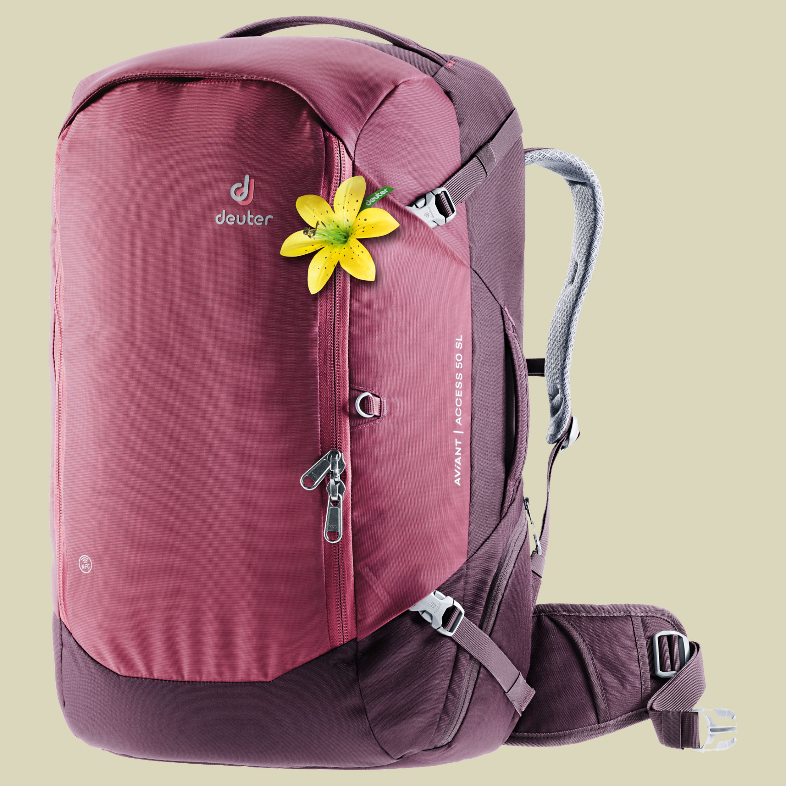 AViANT Access 50 SL Volumen 50 Farbe maron-aubergine