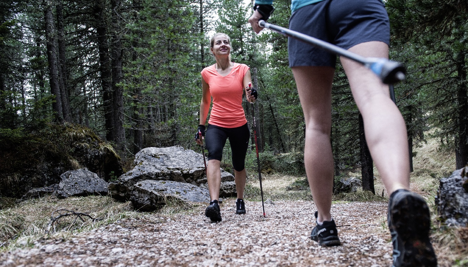 Leki Nordic Walking Imagebild